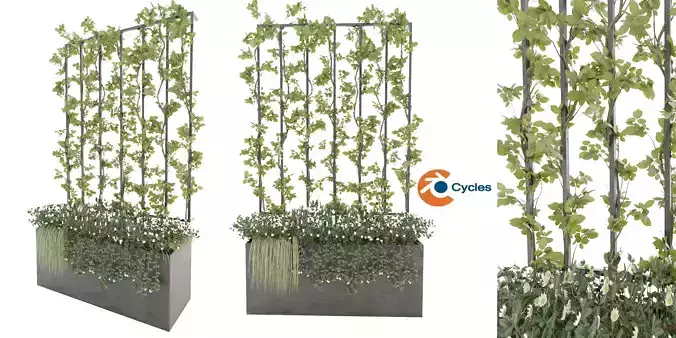 Collection plant vol 36 - blender model