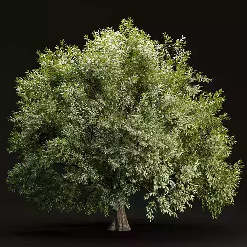 Tree vol 214 3D model