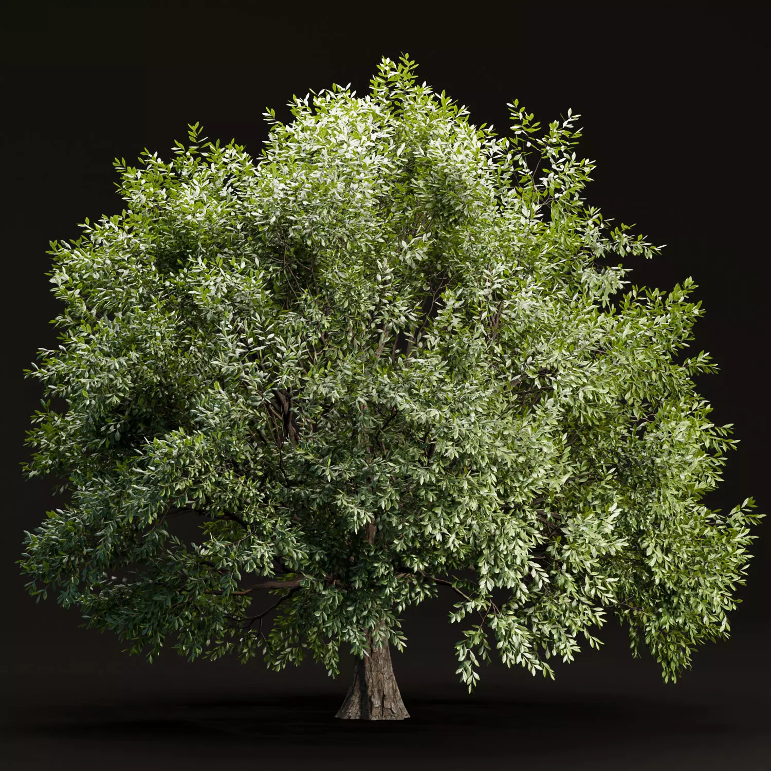 Tree vol 214 3D model