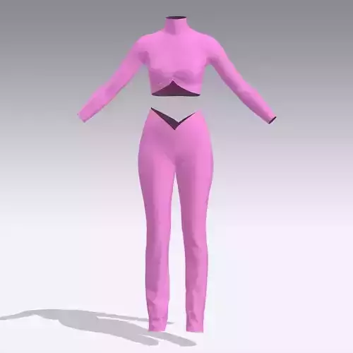 Pink suit two pieces  elastic blouse and pant