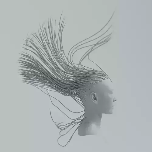 Cyborg Bionic Hair 3D model