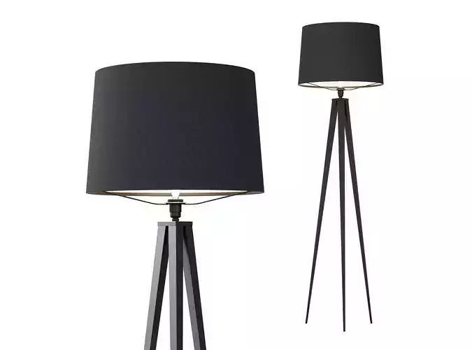Floor lamp Dantone Home TRIPOD