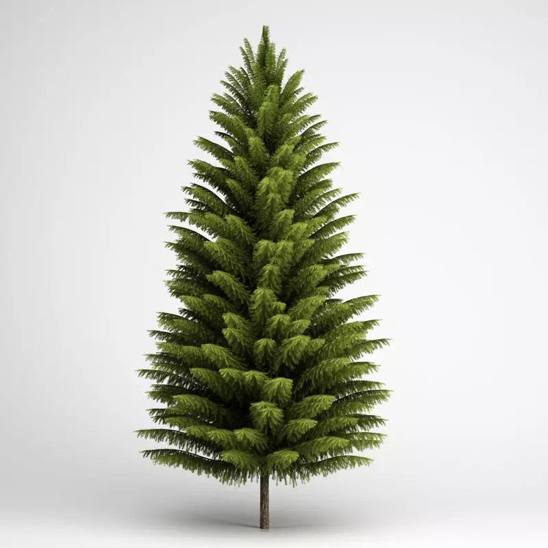 Norway Spruce 21 3D model_0