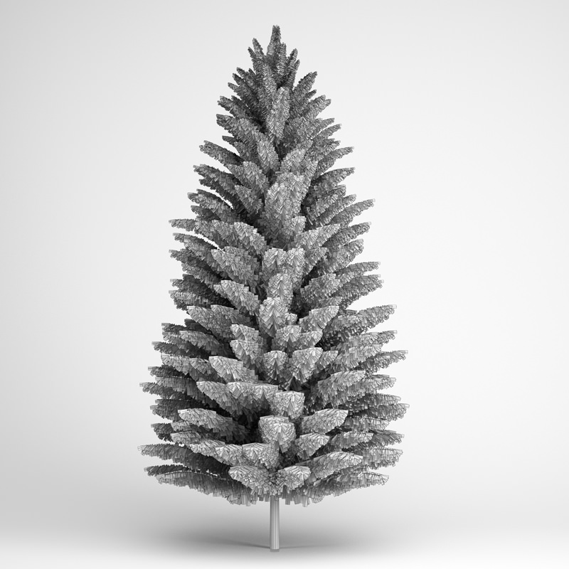 Norway Spruce 21 3D model_1