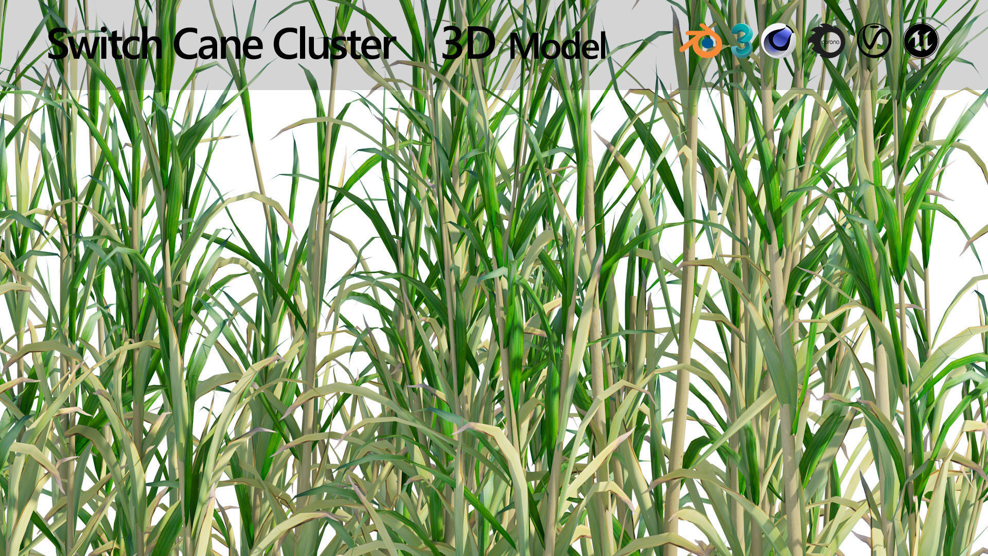 Rigged Giant cane cluster Low-poly 3D model_6