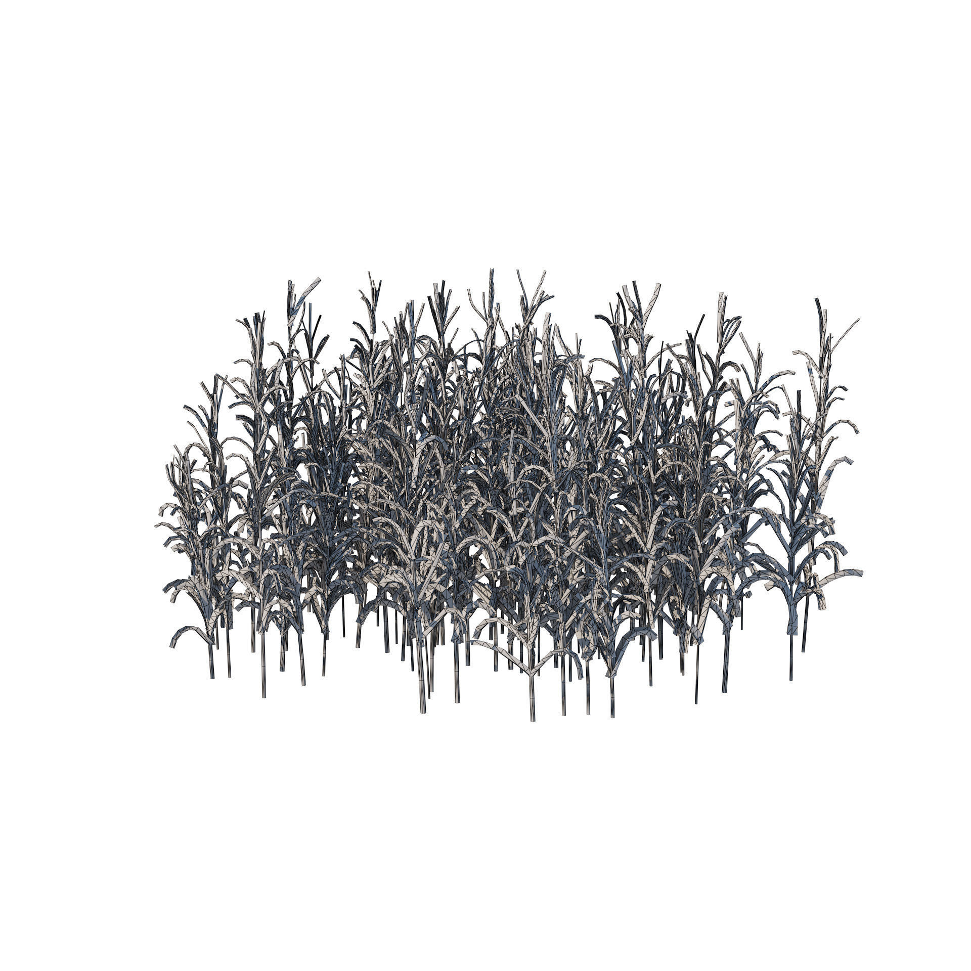 Rigged Giant cane cluster Low-poly 3D model_7