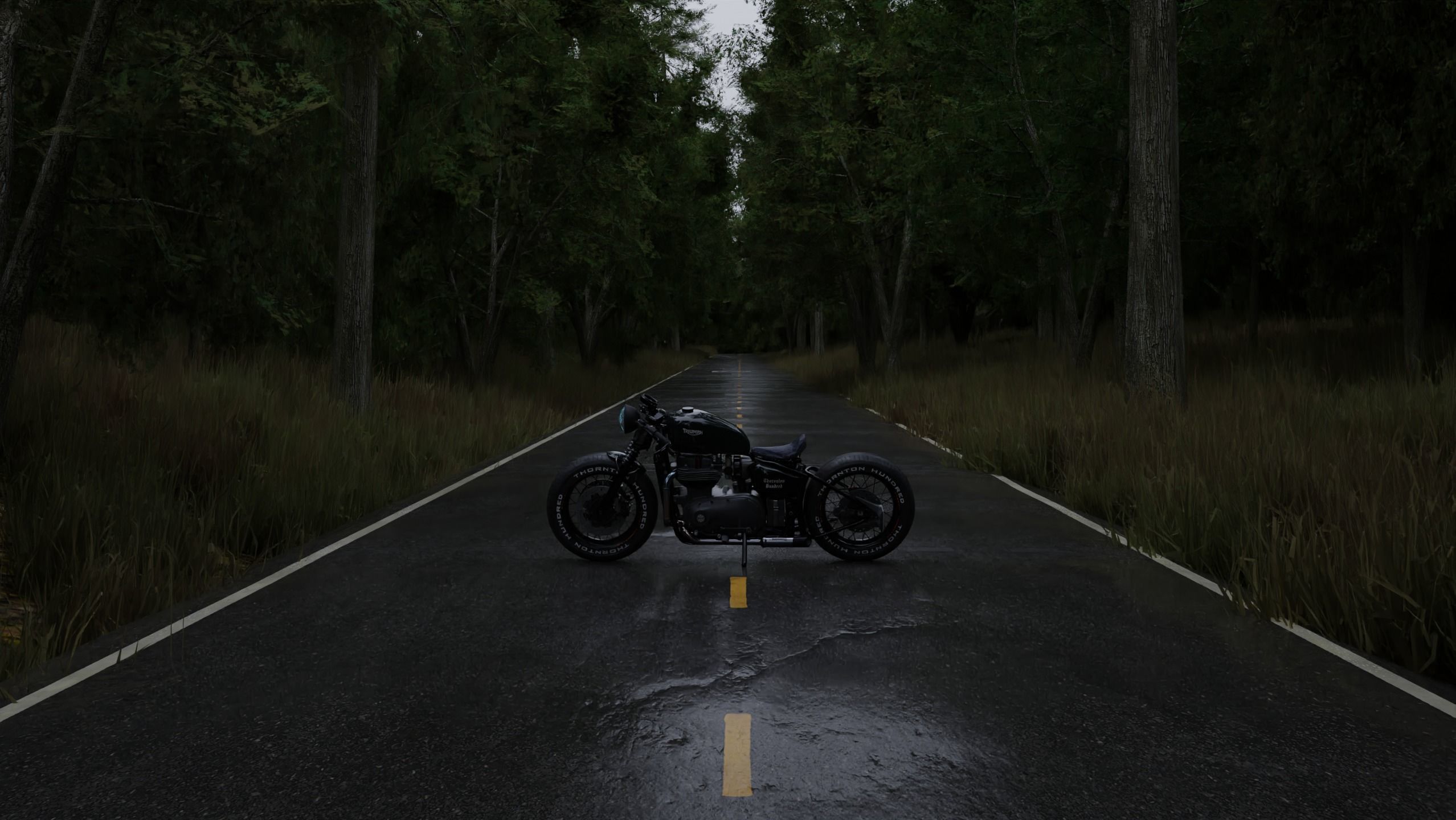 Realistic Forest Road Scene 3D Blender File Textured 3D model_2