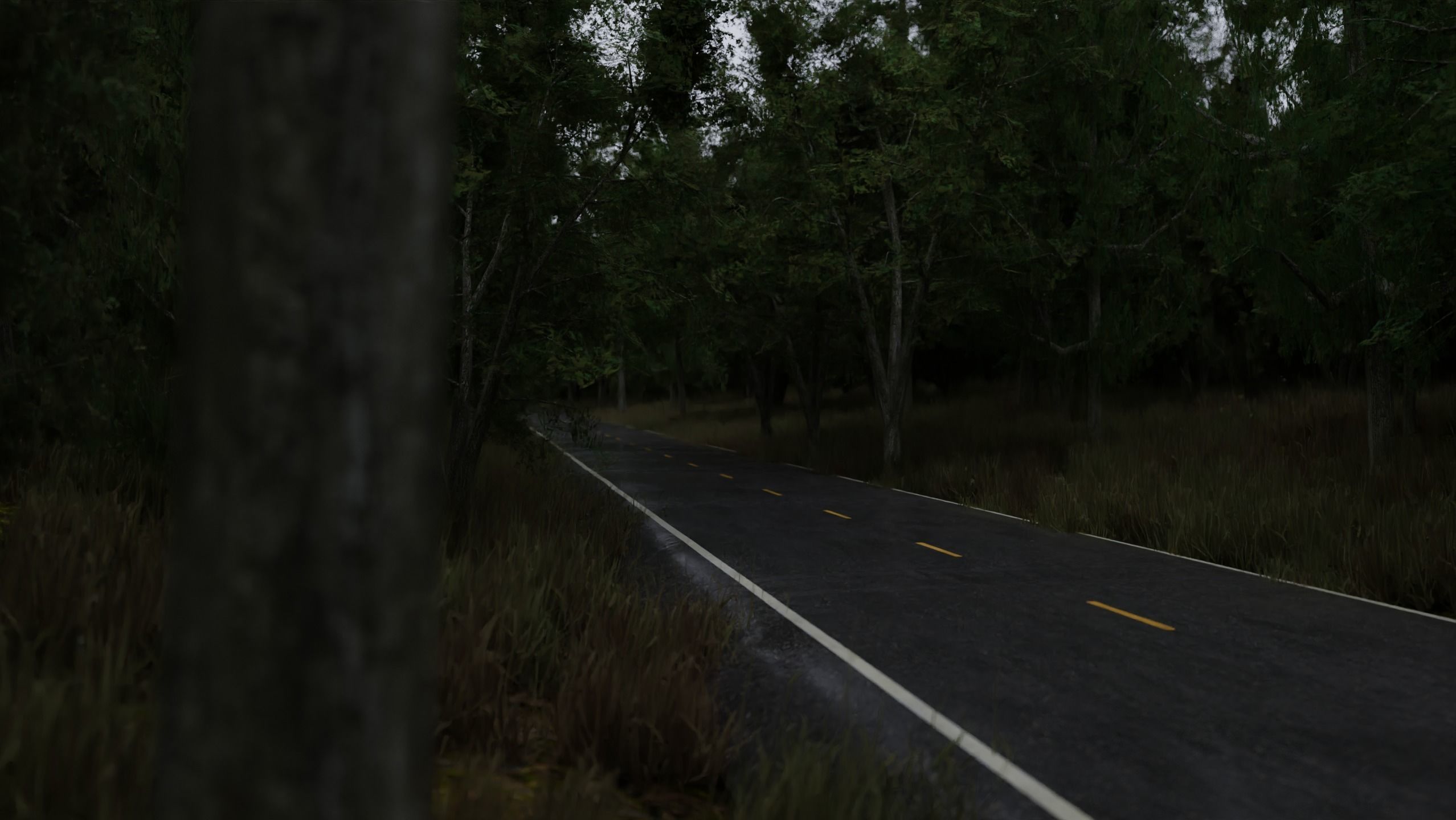 Realistic Forest Road Scene 3D Blender File Textured 3D model_4