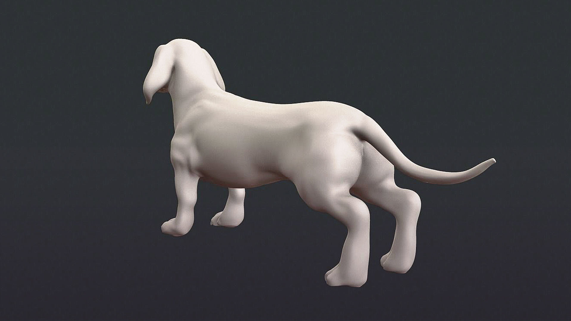 5 HQ Dog pack 3D Model Collection_17