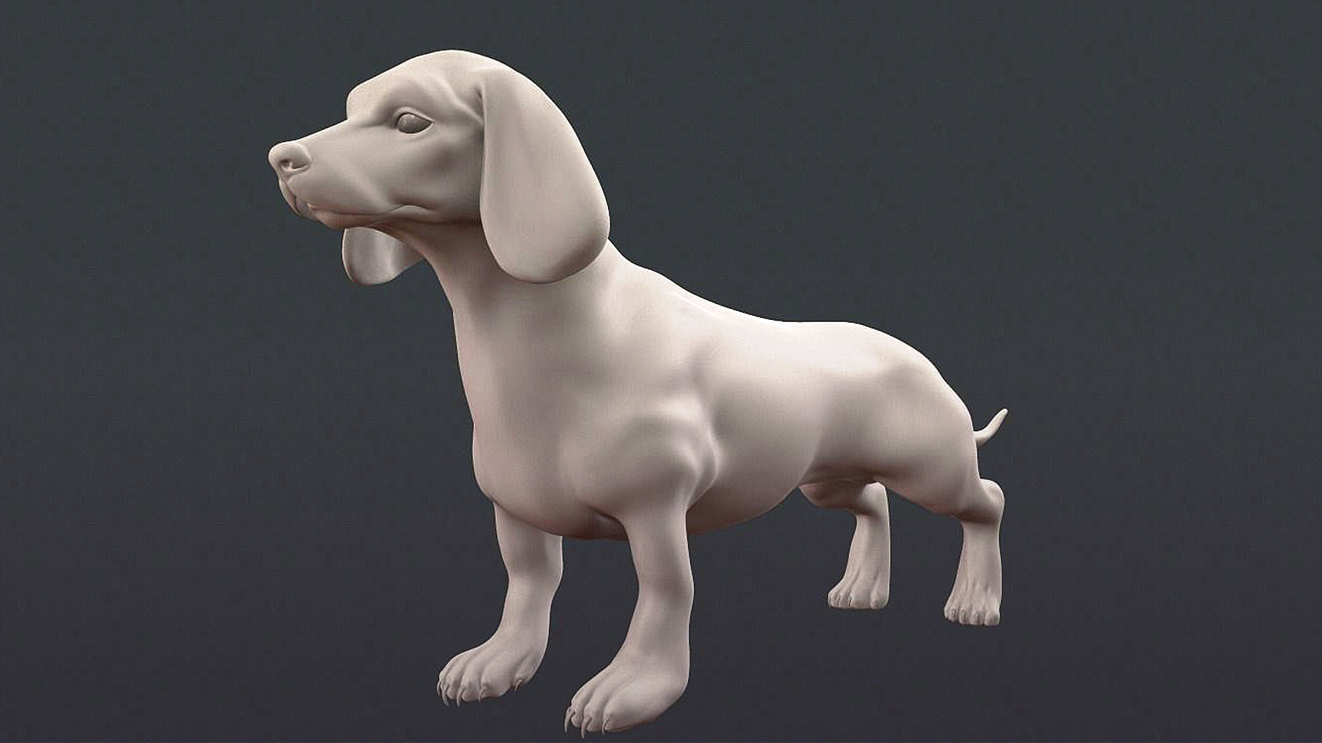 5 HQ Dog pack 3D Model Collection_15