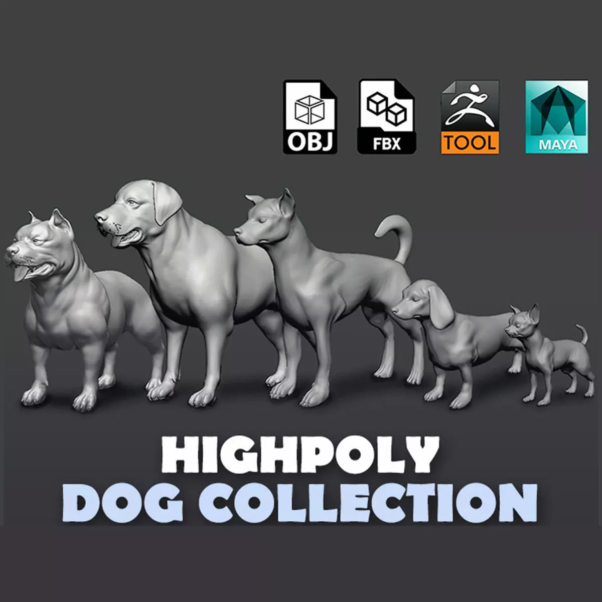 5 HQ Dog pack 3D Model Collection_0