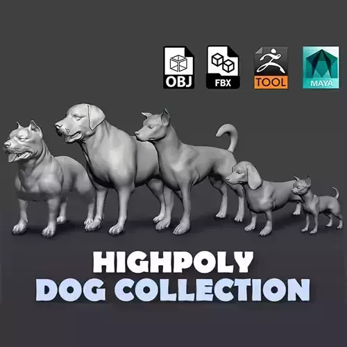 5 HQ Dog pack 3D Model Collection