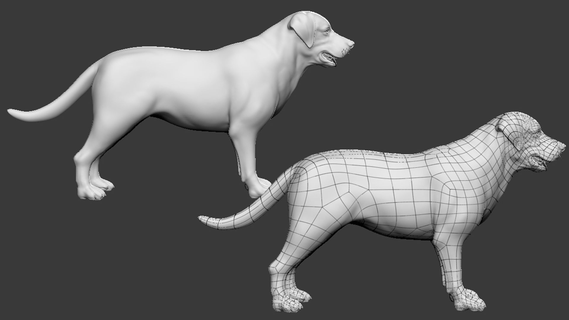 5 HQ Dog pack 3D Model Collection_12