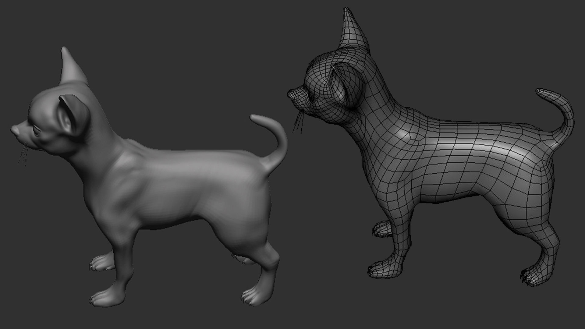 5 HQ Dog pack 3D Model Collection_24