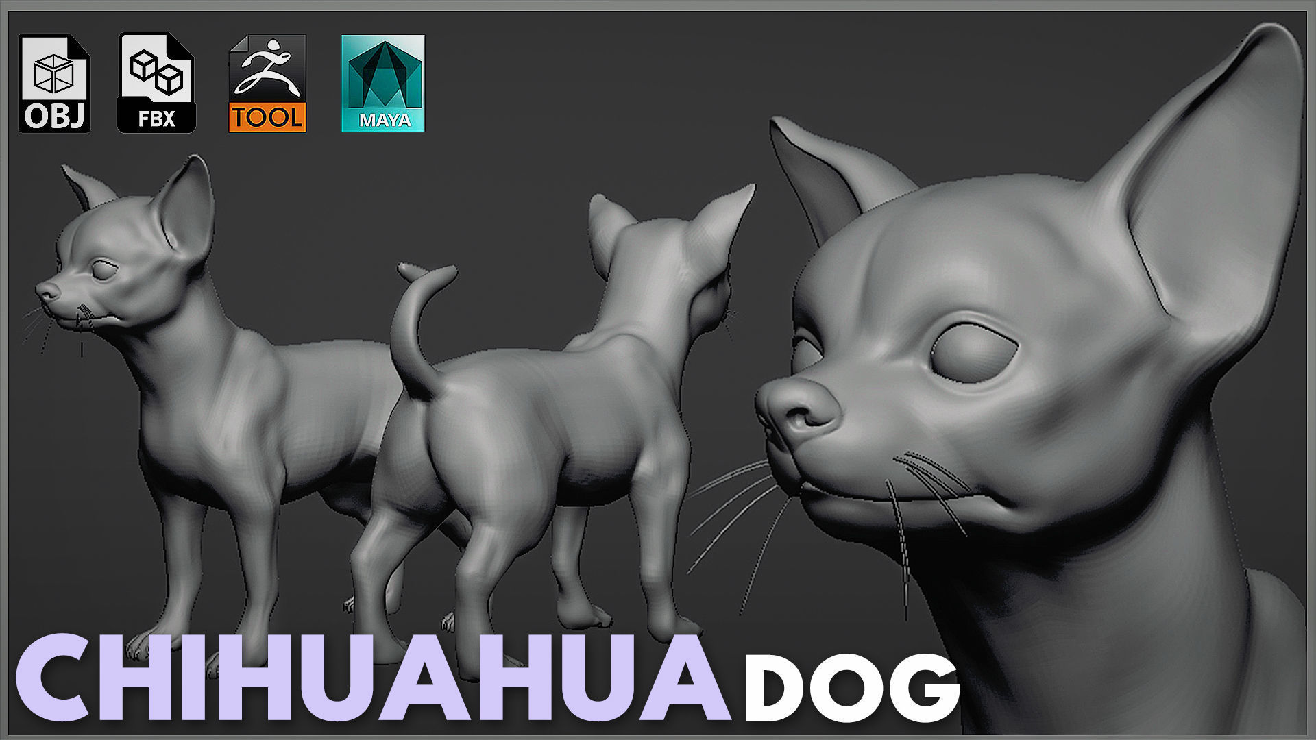5 HQ Dog pack 3D Model Collection_7