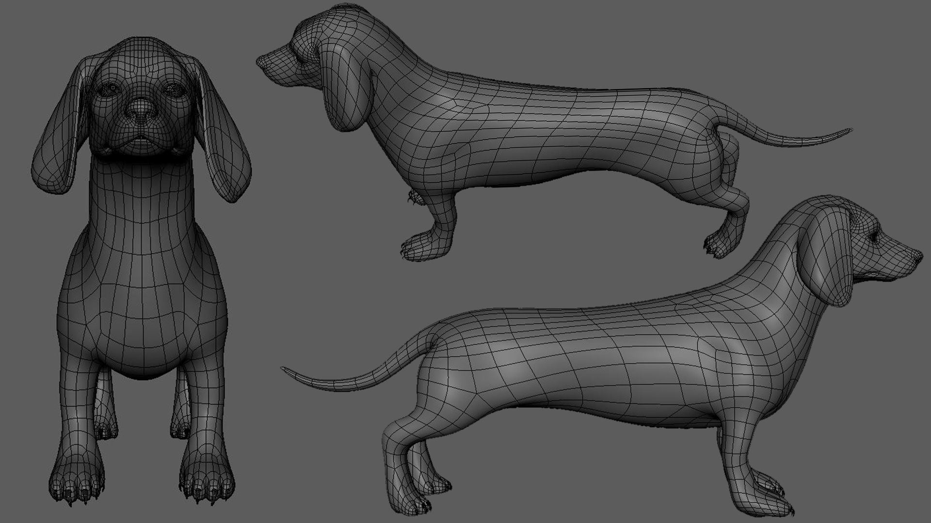 5 HQ Dog pack 3D Model Collection_19