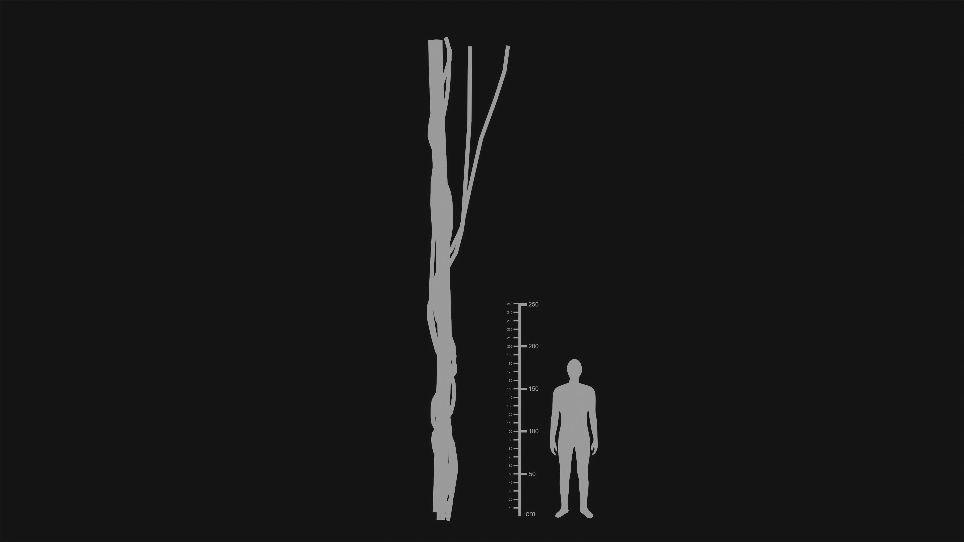 Wood Trunk - Grass Free low-poly 3D model_22