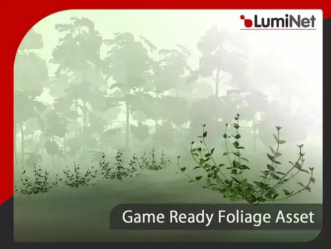 Acanthoprasium Frutescens - Grass