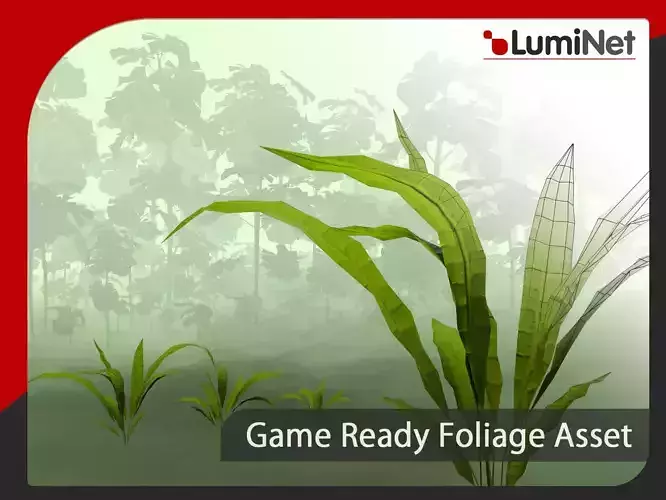 Microsorum Pteropus - Grass