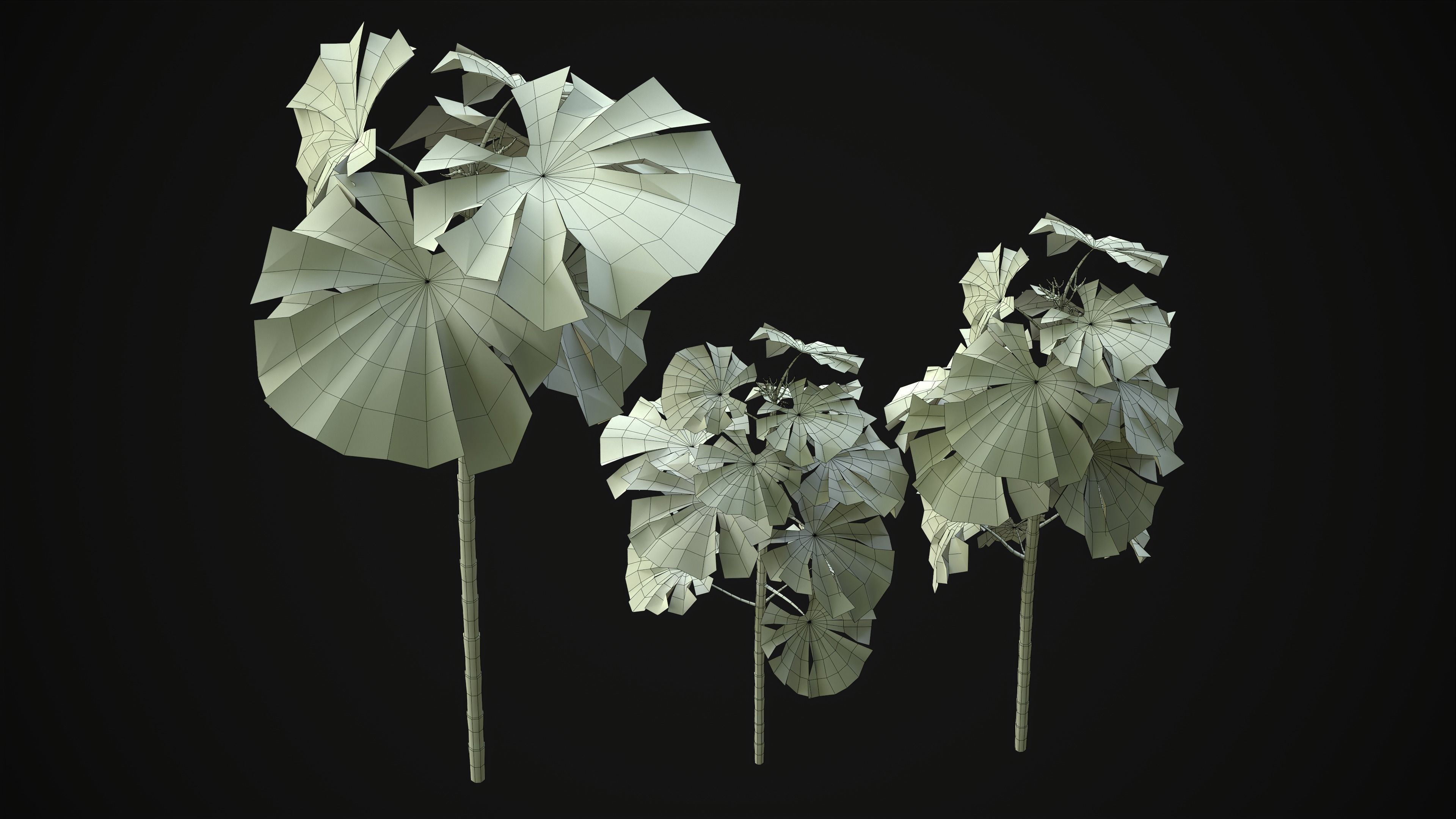 Cecropia Palmata - Grass Low-poly 3D model_24