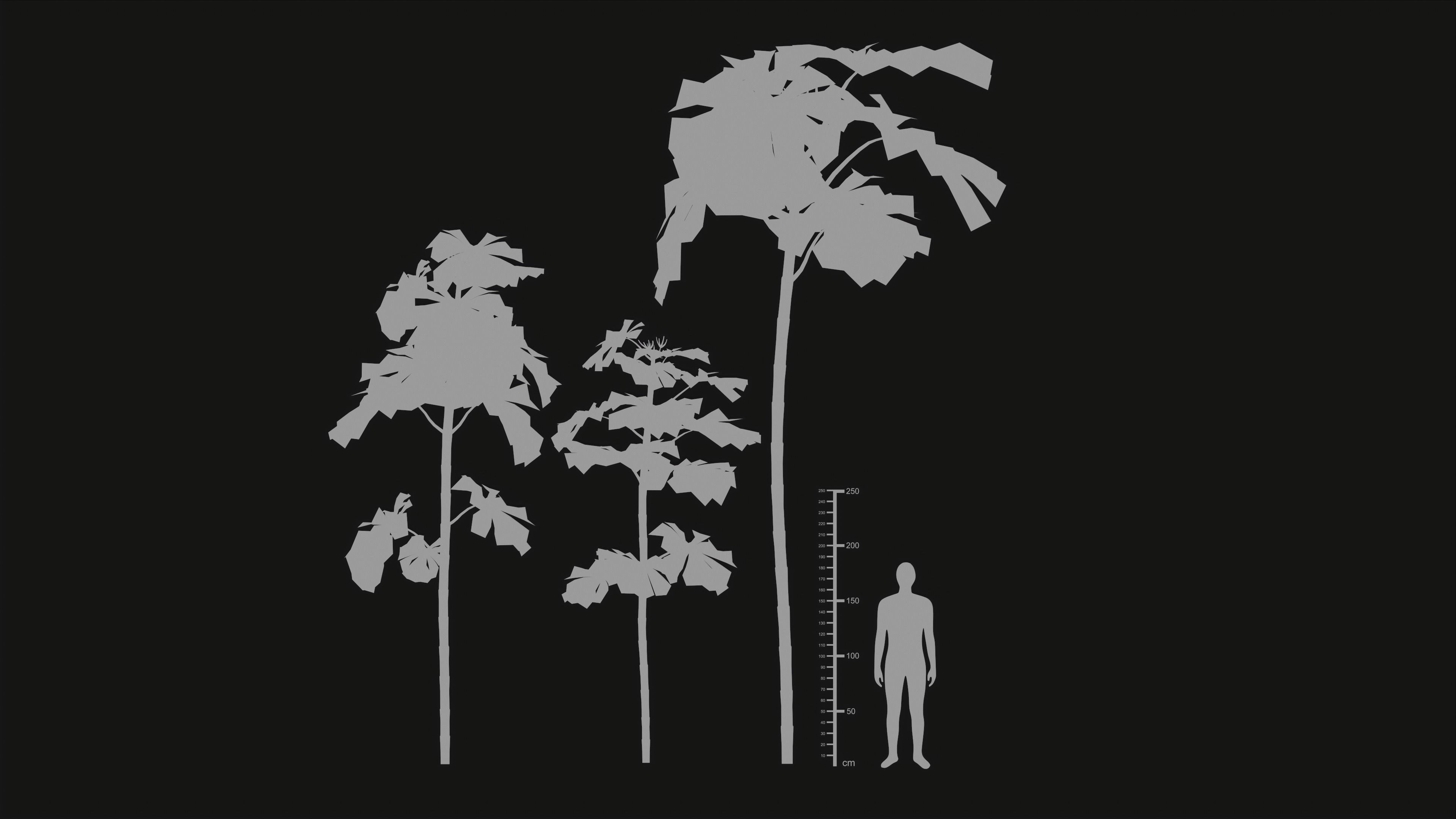 Cecropia Palmata - Grass Low-poly 3D model_22