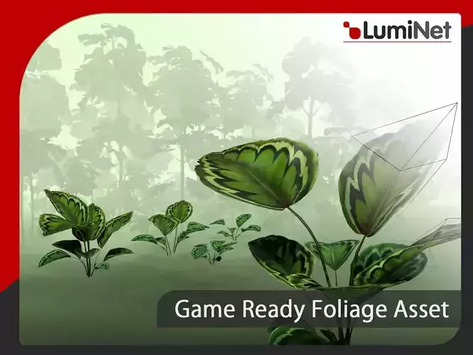 Calathea Veitchiana - Grass Low-poly 3D model