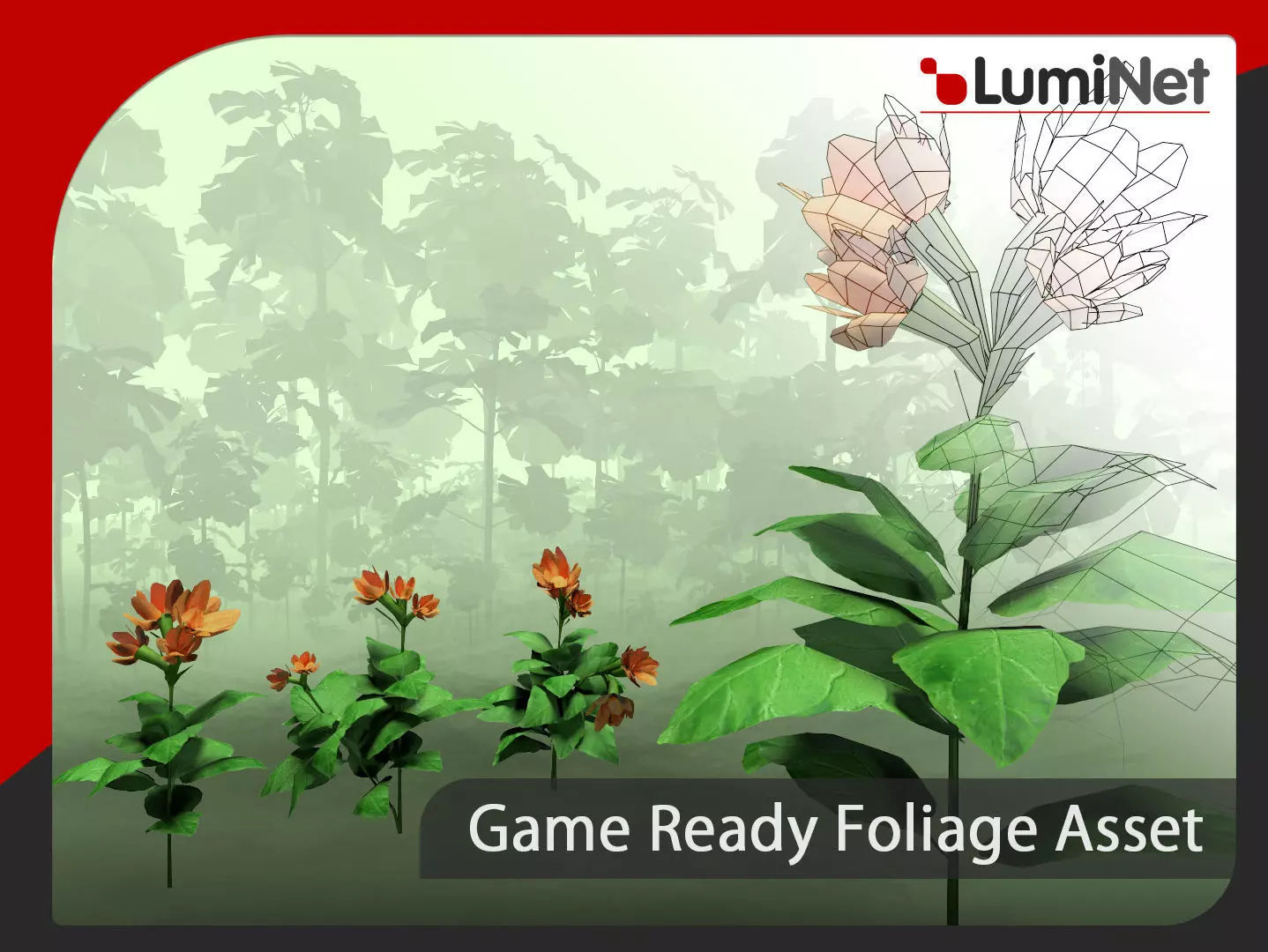 Crossandra Infundibuliformis - Grass 3D model_0