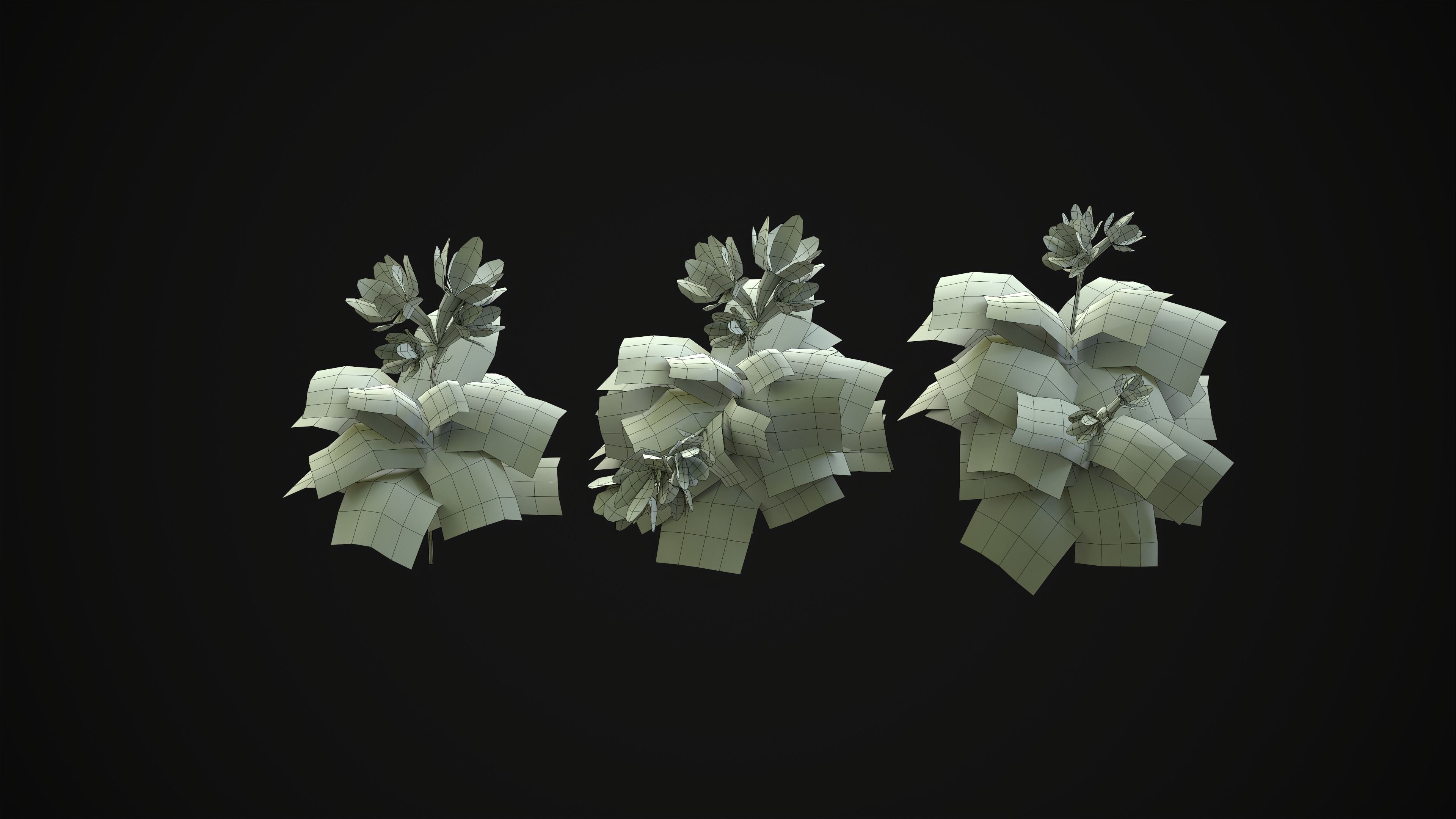 Crossandra Infundibuliformis - Grass 3D model_24