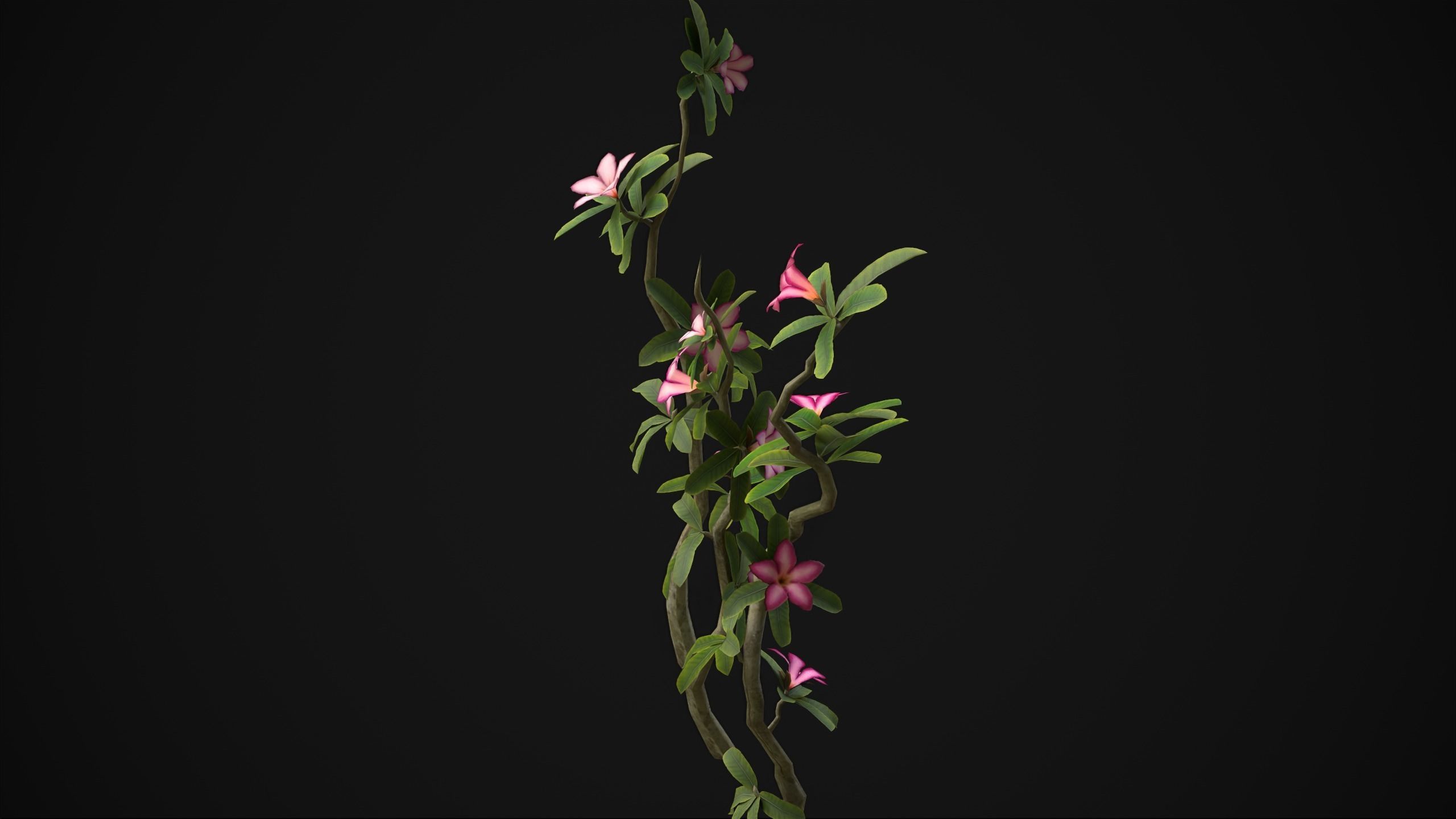 Adenium Multiflorum - Grass Low-poly 3D model_17