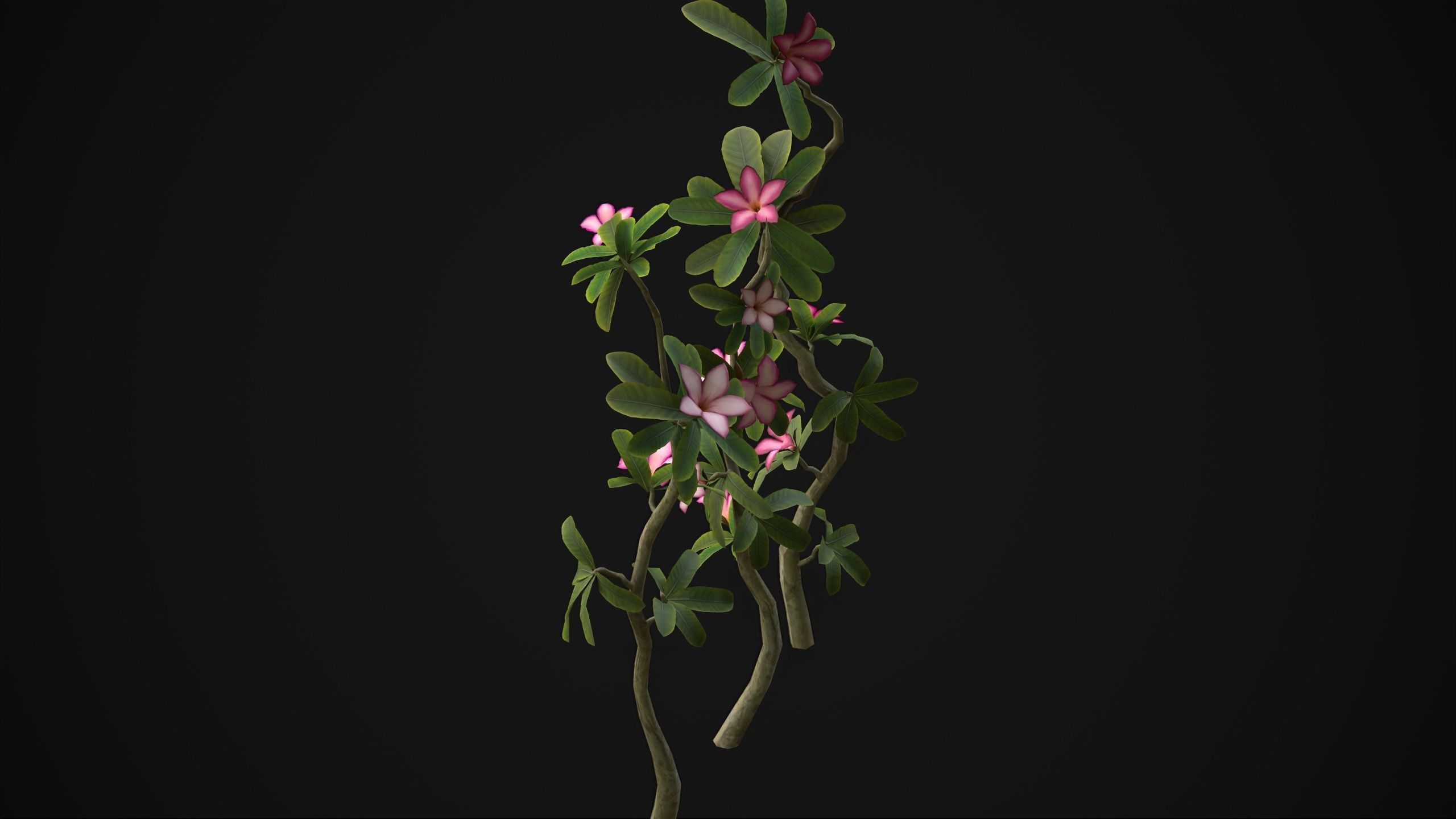 Adenium Multiflorum - Grass Low-poly 3D model_5