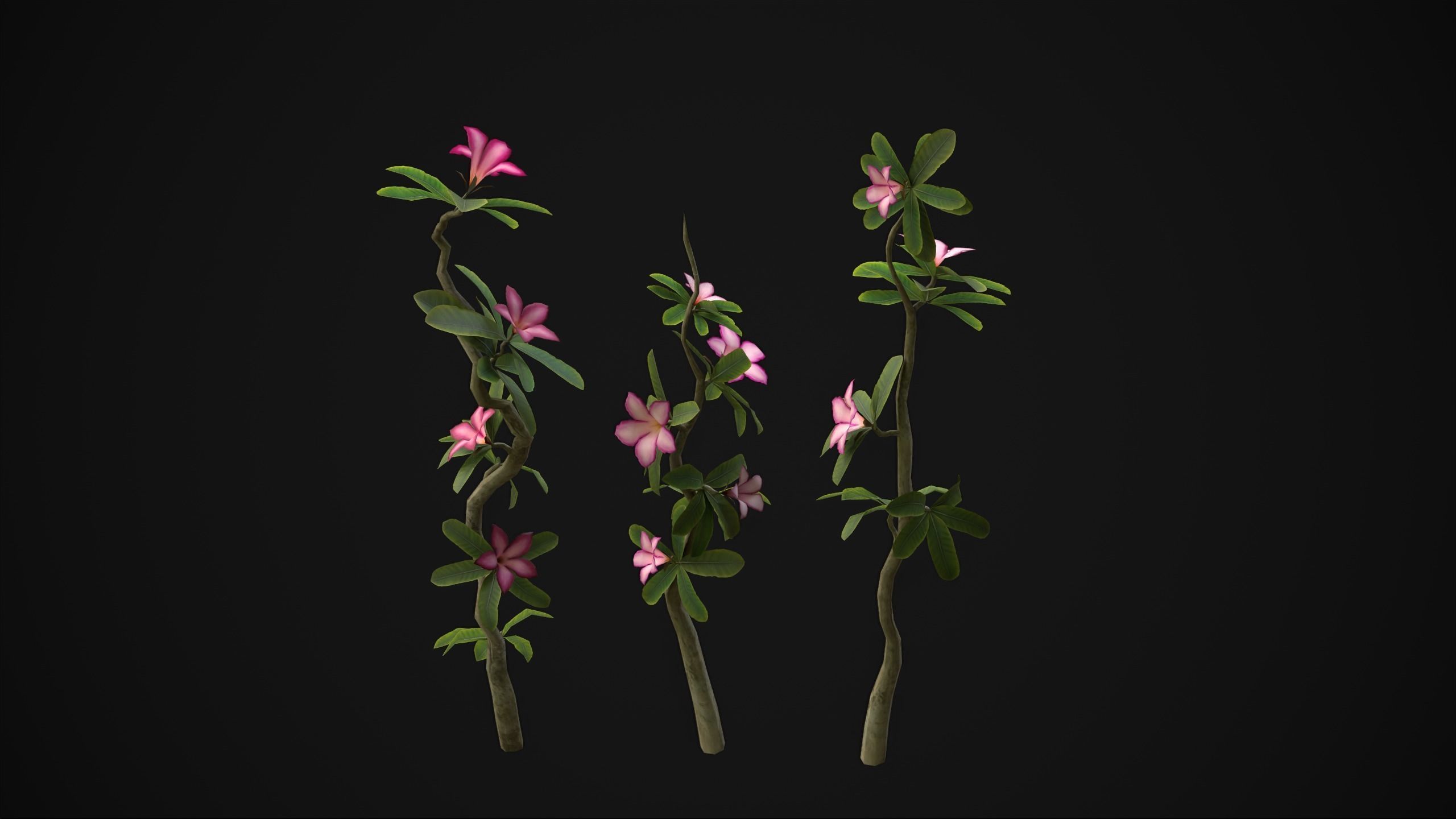 Adenium Multiflorum - Grass Low-poly 3D model_11