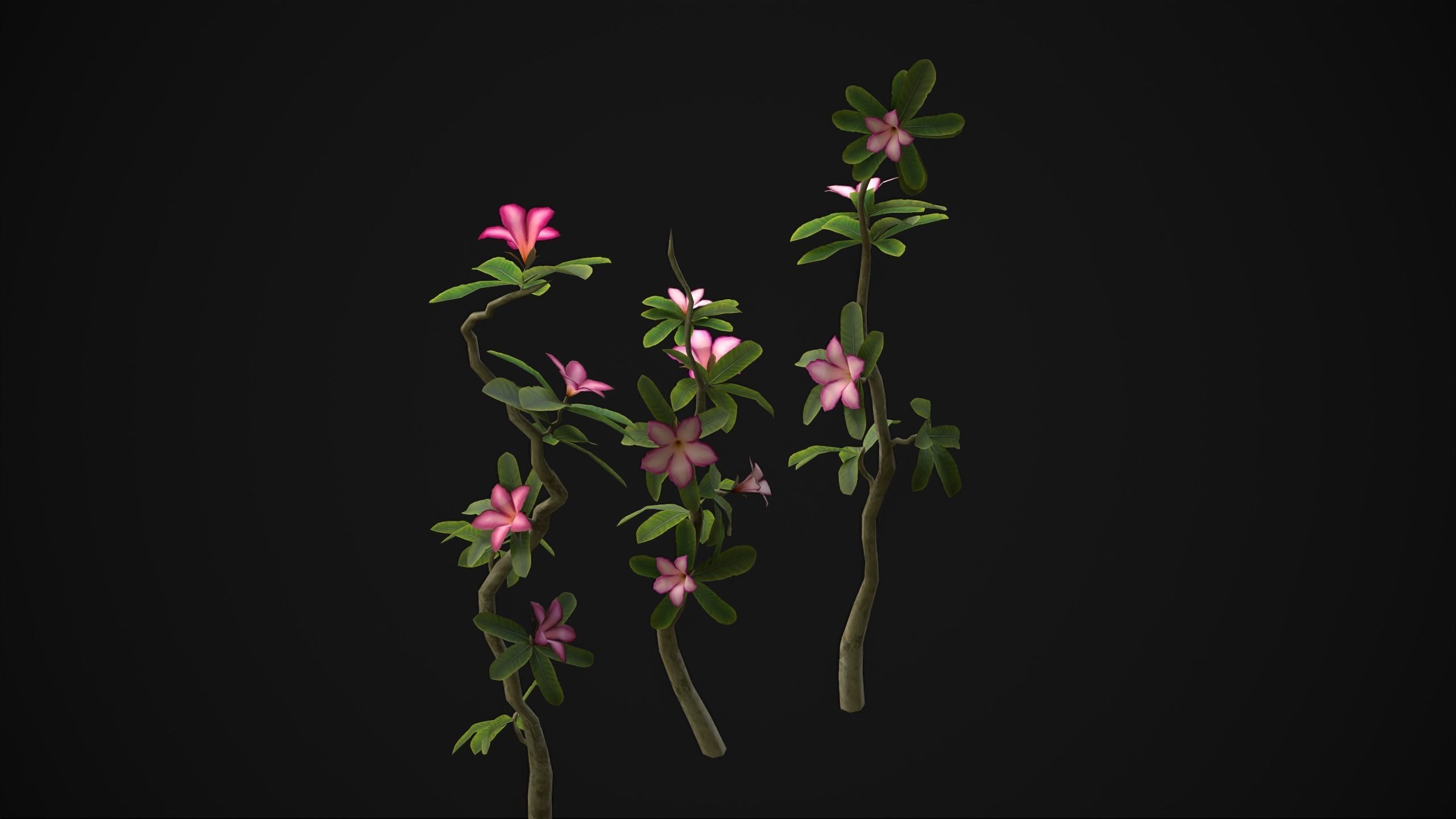 Adenium Multiflorum - Grass Low-poly 3D model_13