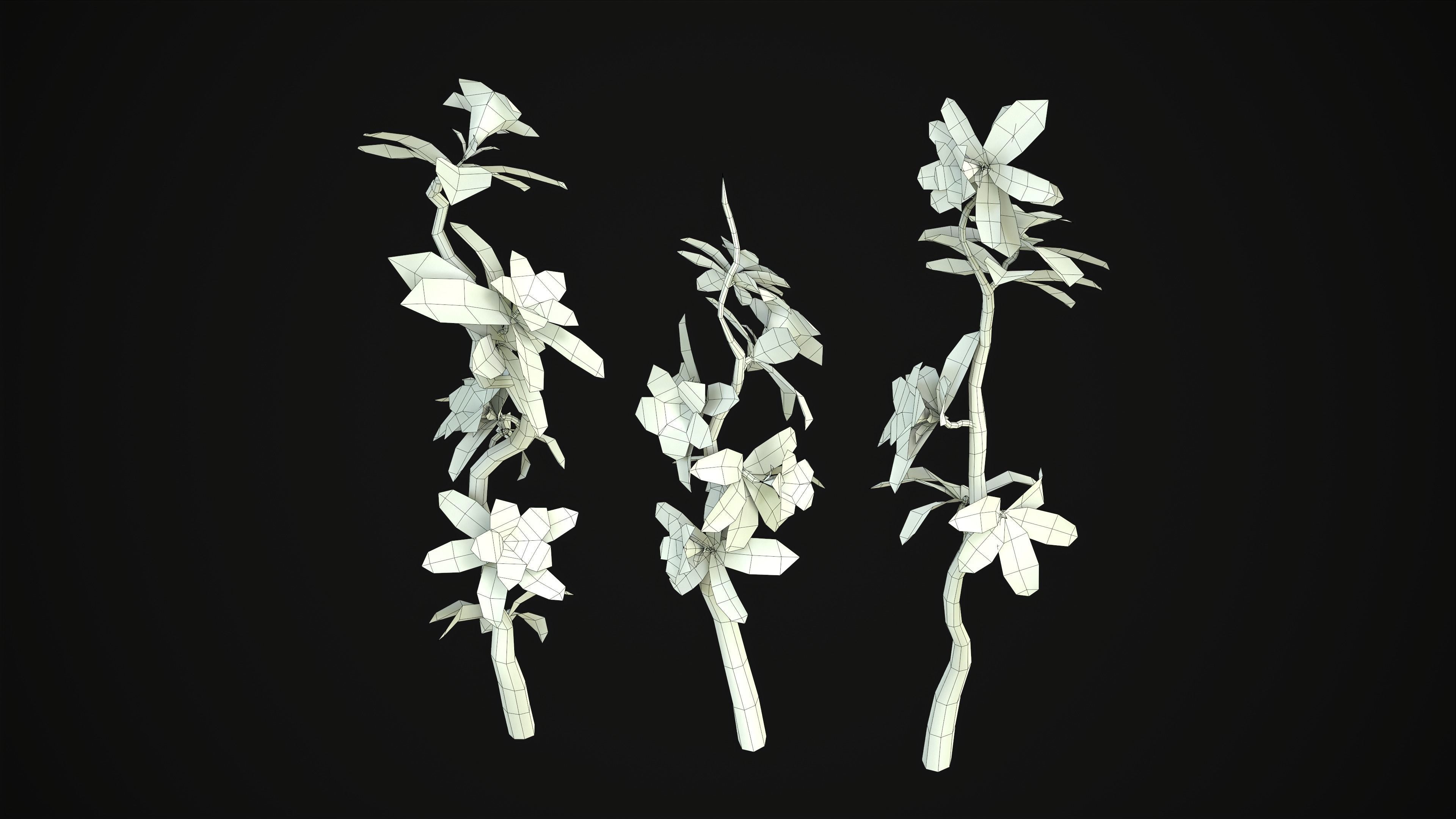 Adenium Multiflorum - Grass Low-poly 3D model_23