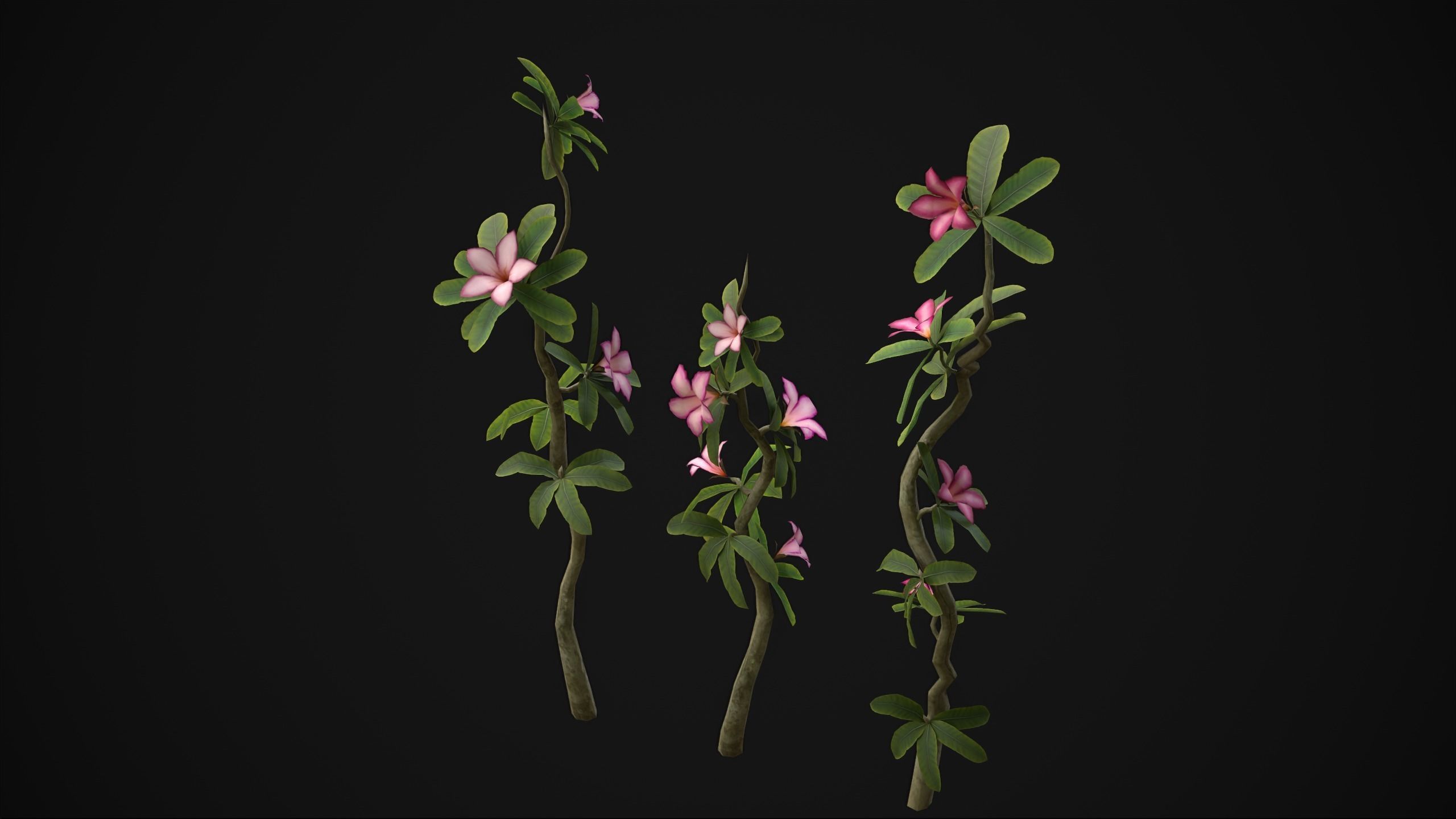 Adenium Multiflorum - Grass Low-poly 3D model_20