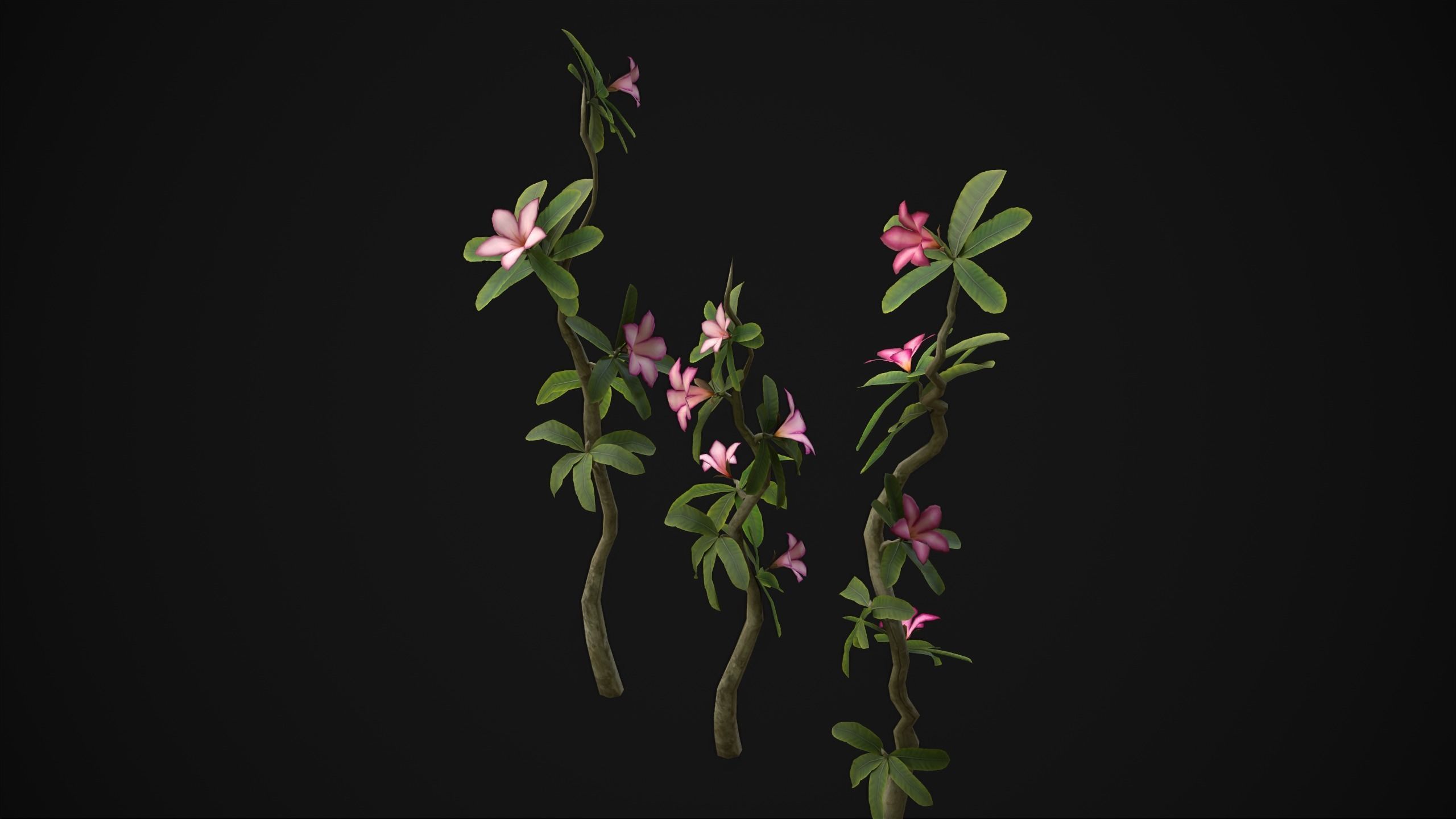 Adenium Multiflorum - Grass Low-poly 3D model_19