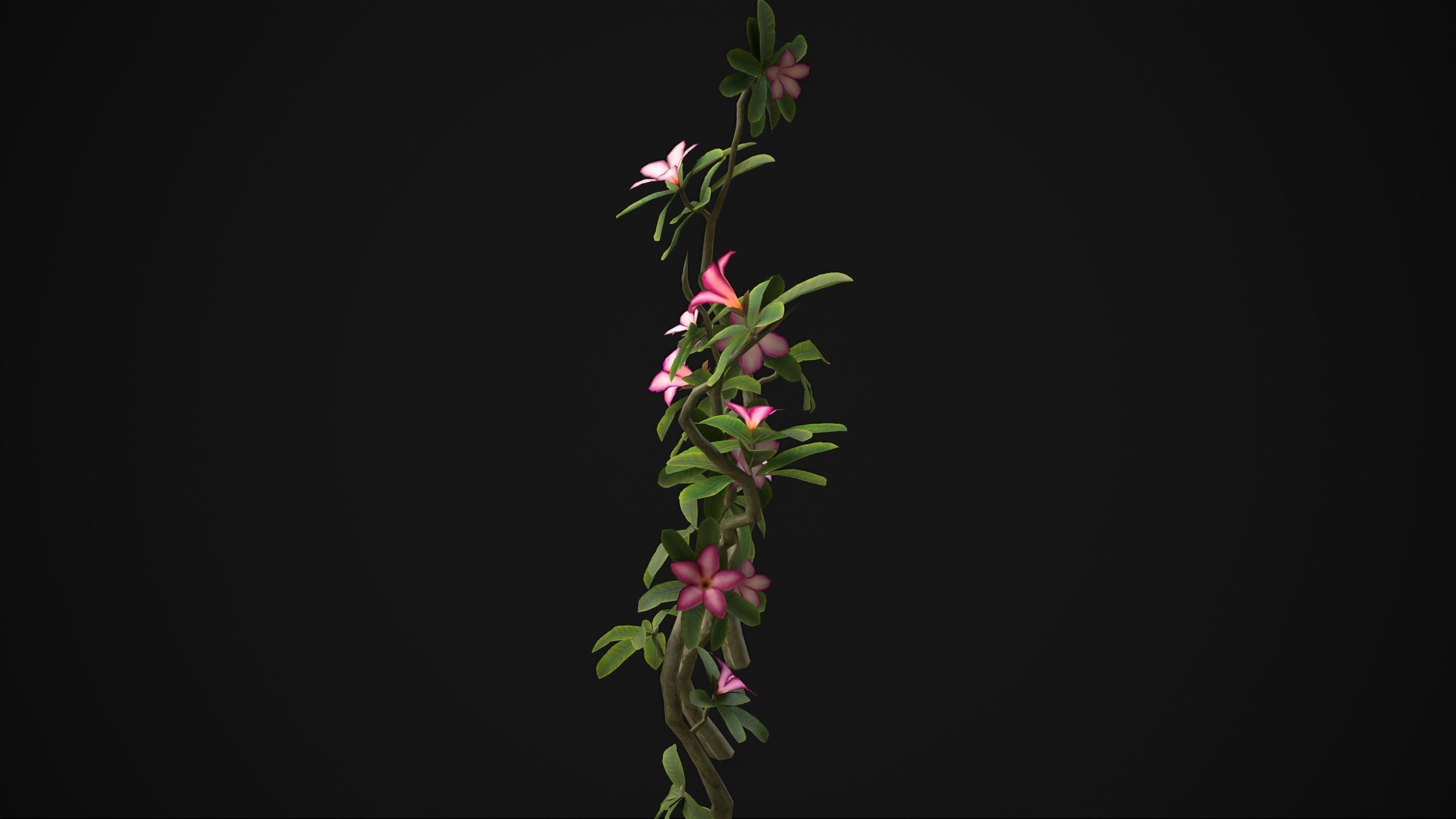 Adenium Multiflorum - Grass Low-poly 3D model_16