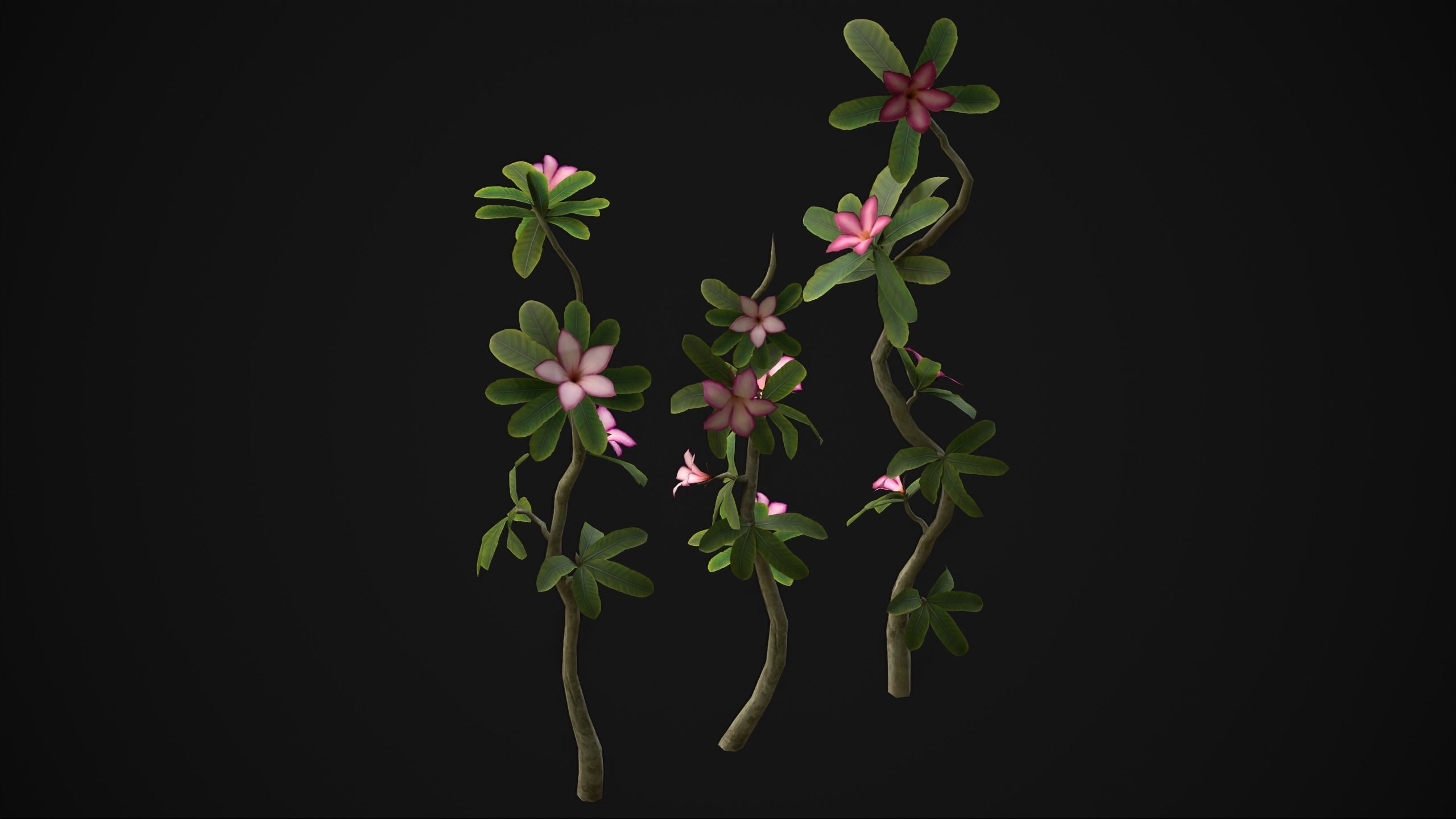 Adenium Multiflorum - Grass Low-poly 3D model_3