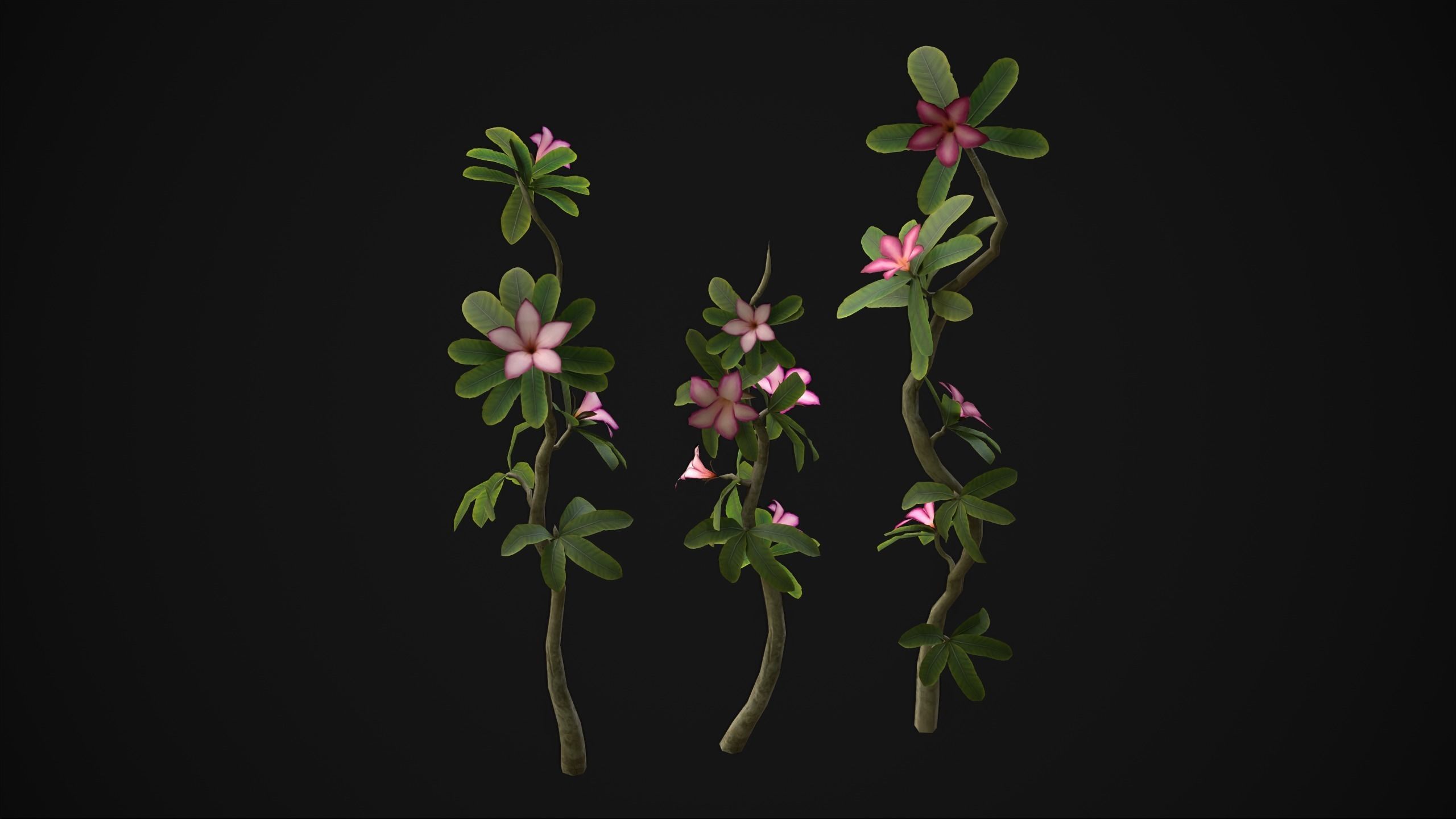 Adenium Multiflorum - Grass Low-poly 3D model_2