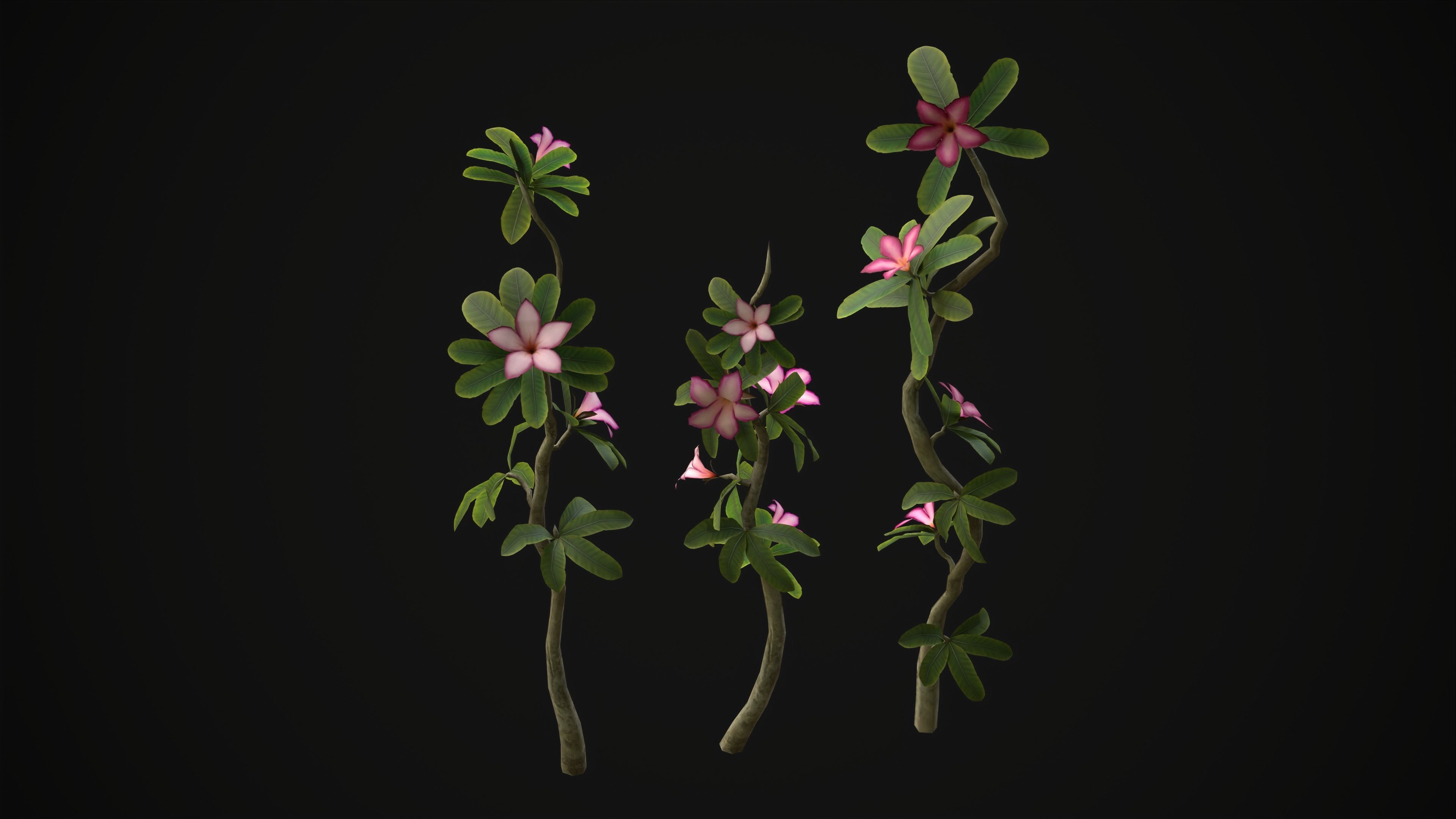 Adenium Multiflorum - Grass Low-poly 3D model_1