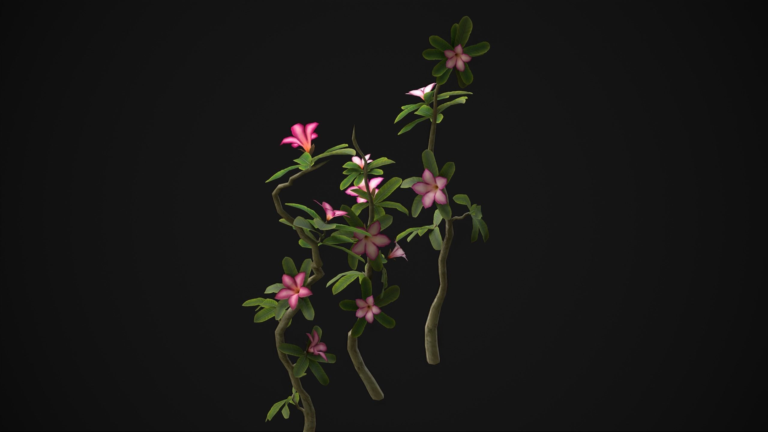 Adenium Multiflorum - Grass Low-poly 3D model_14