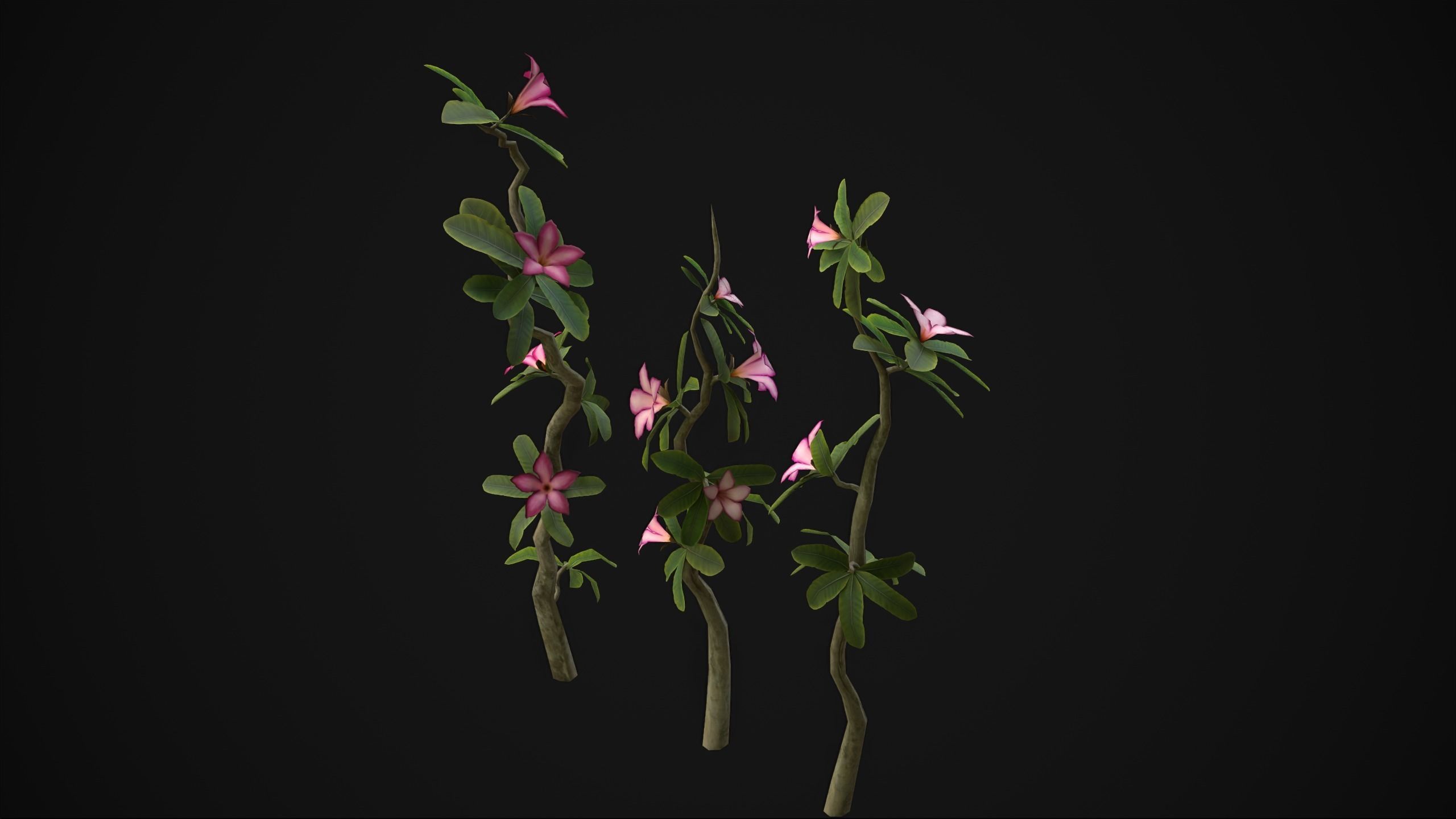 Adenium Multiflorum - Grass Low-poly 3D model_9