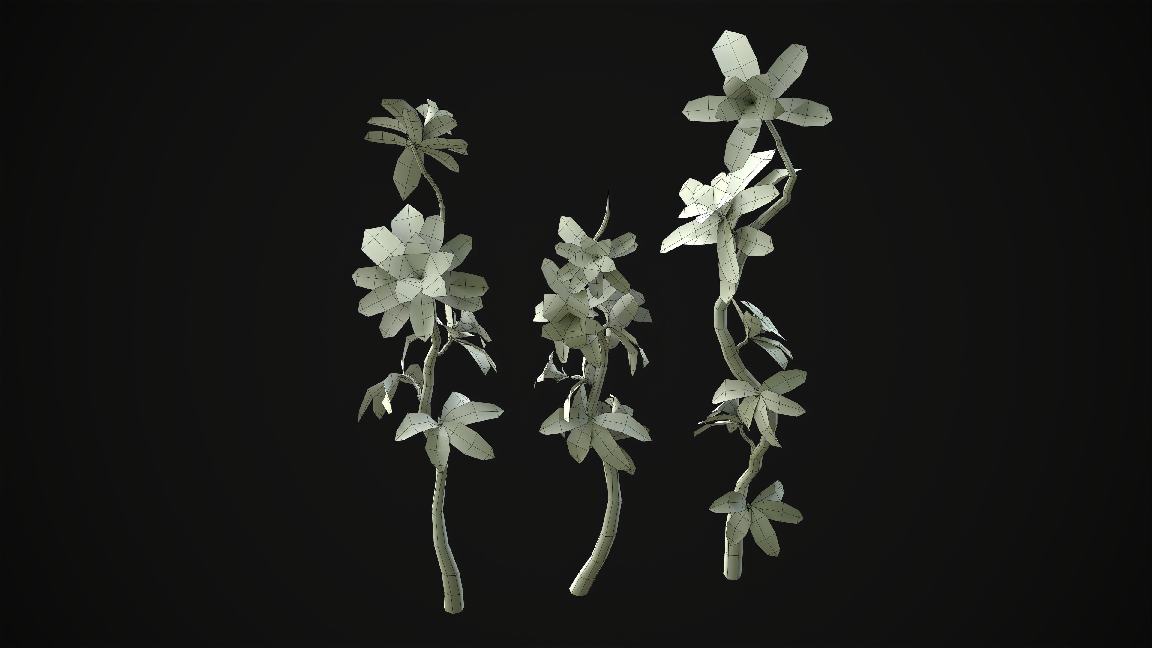 Adenium Multiflorum - Grass Low-poly 3D model_24