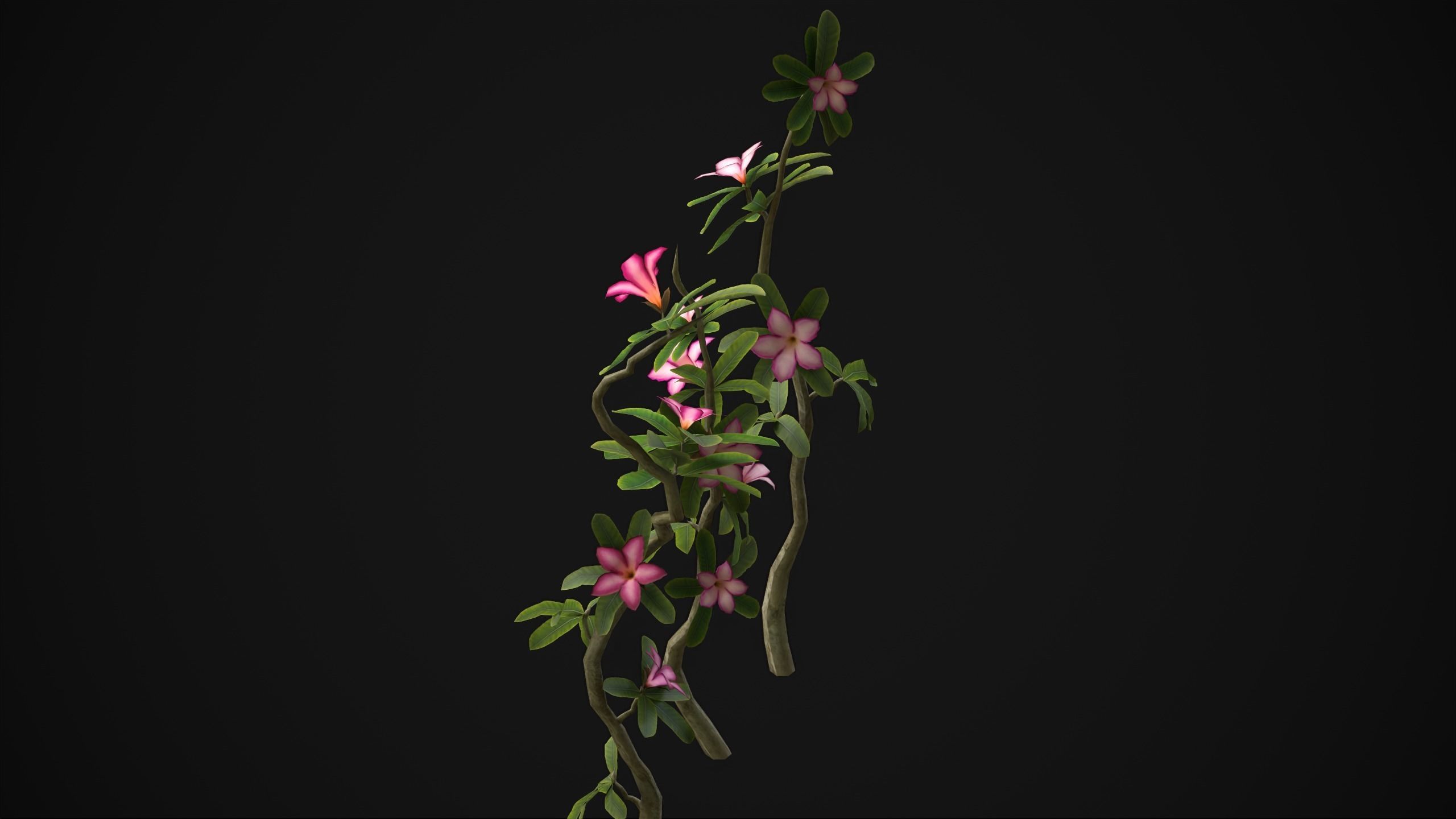 Adenium Multiflorum - Grass Low-poly 3D model_15