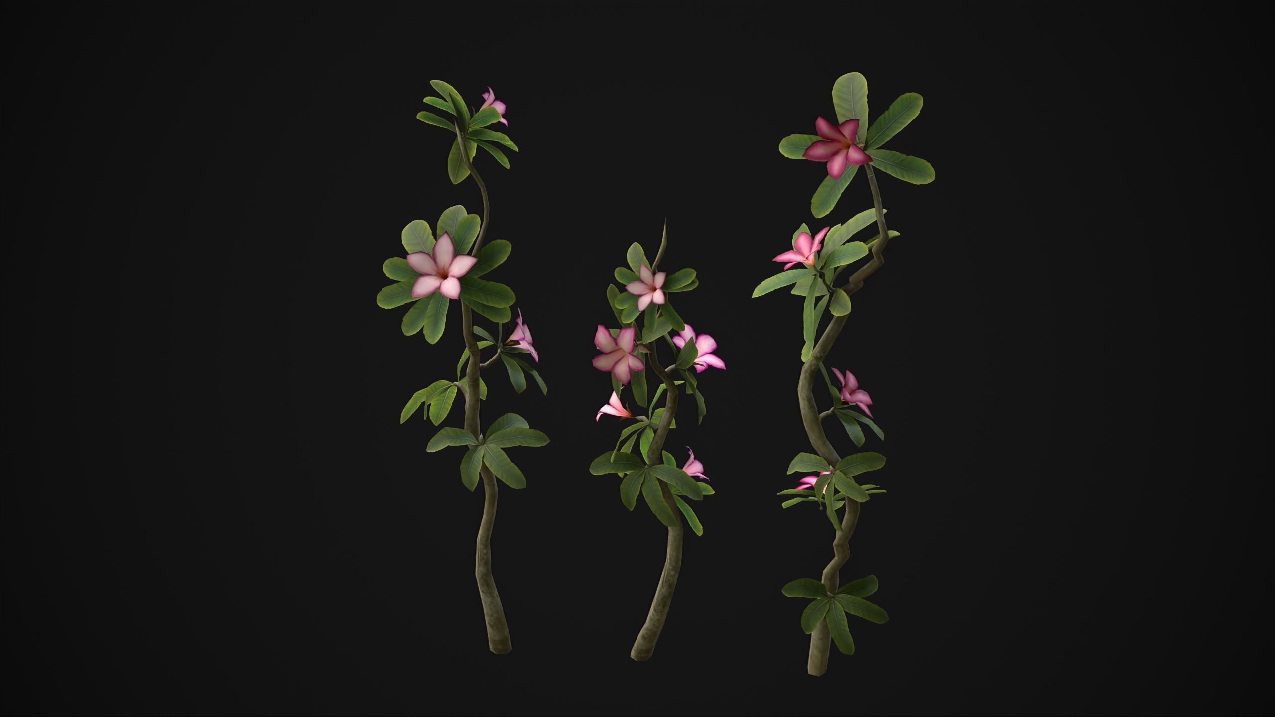 Adenium Multiflorum - Grass Low-poly 3D model_21