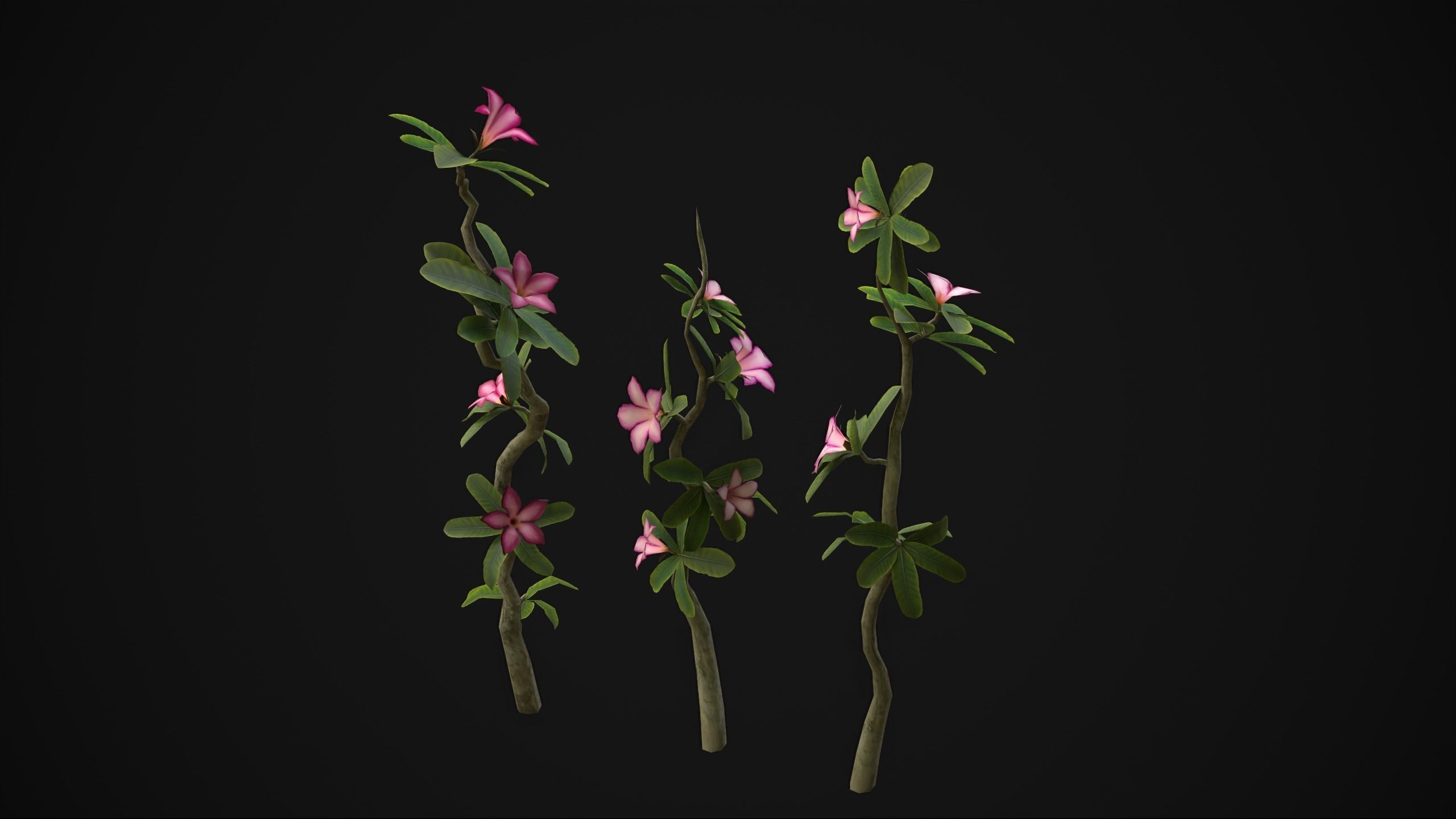 Adenium Multiflorum - Grass Low-poly 3D model_10