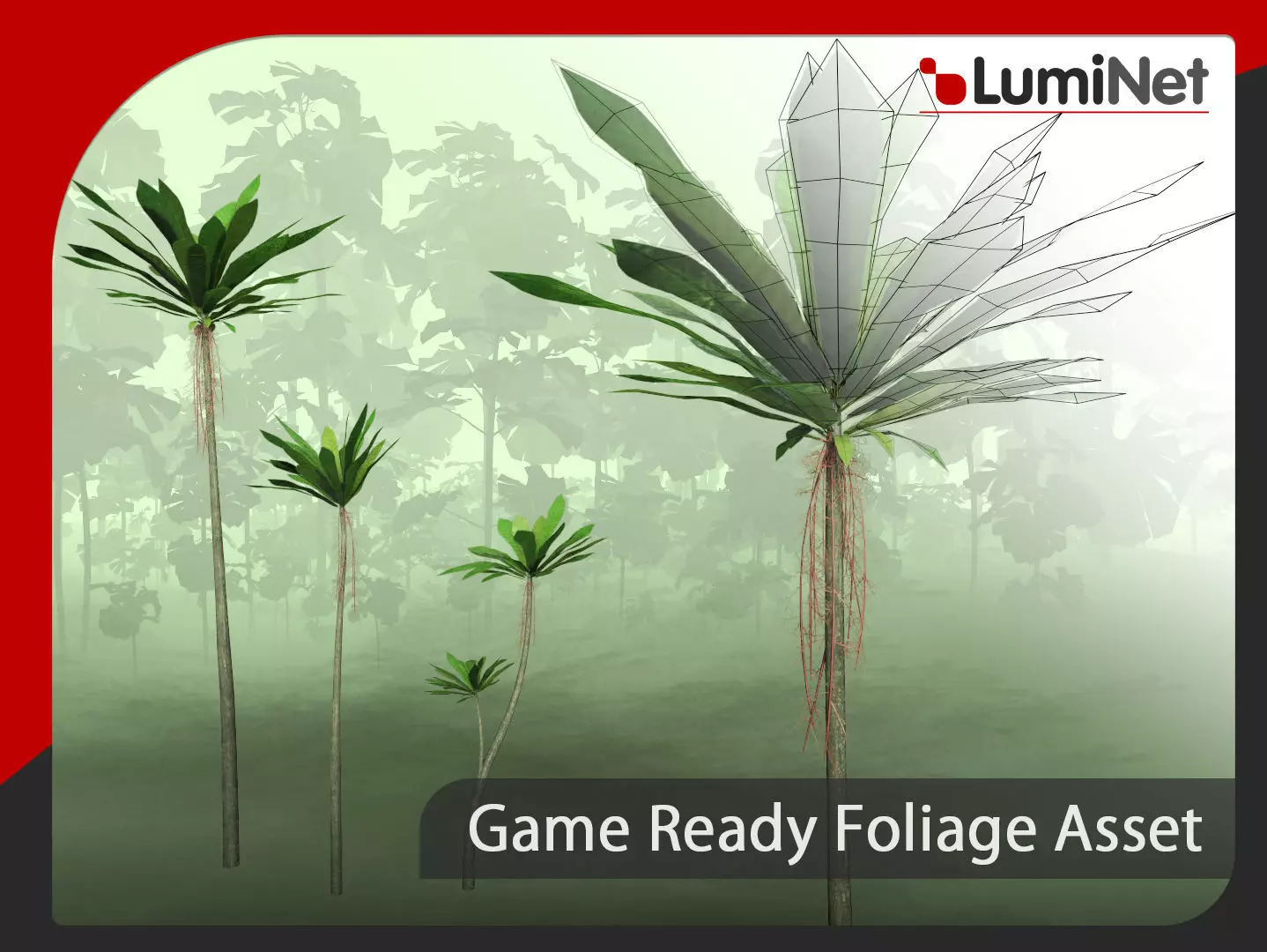 Acropogon Merytifolius - Grass Low-poly 3D model_0