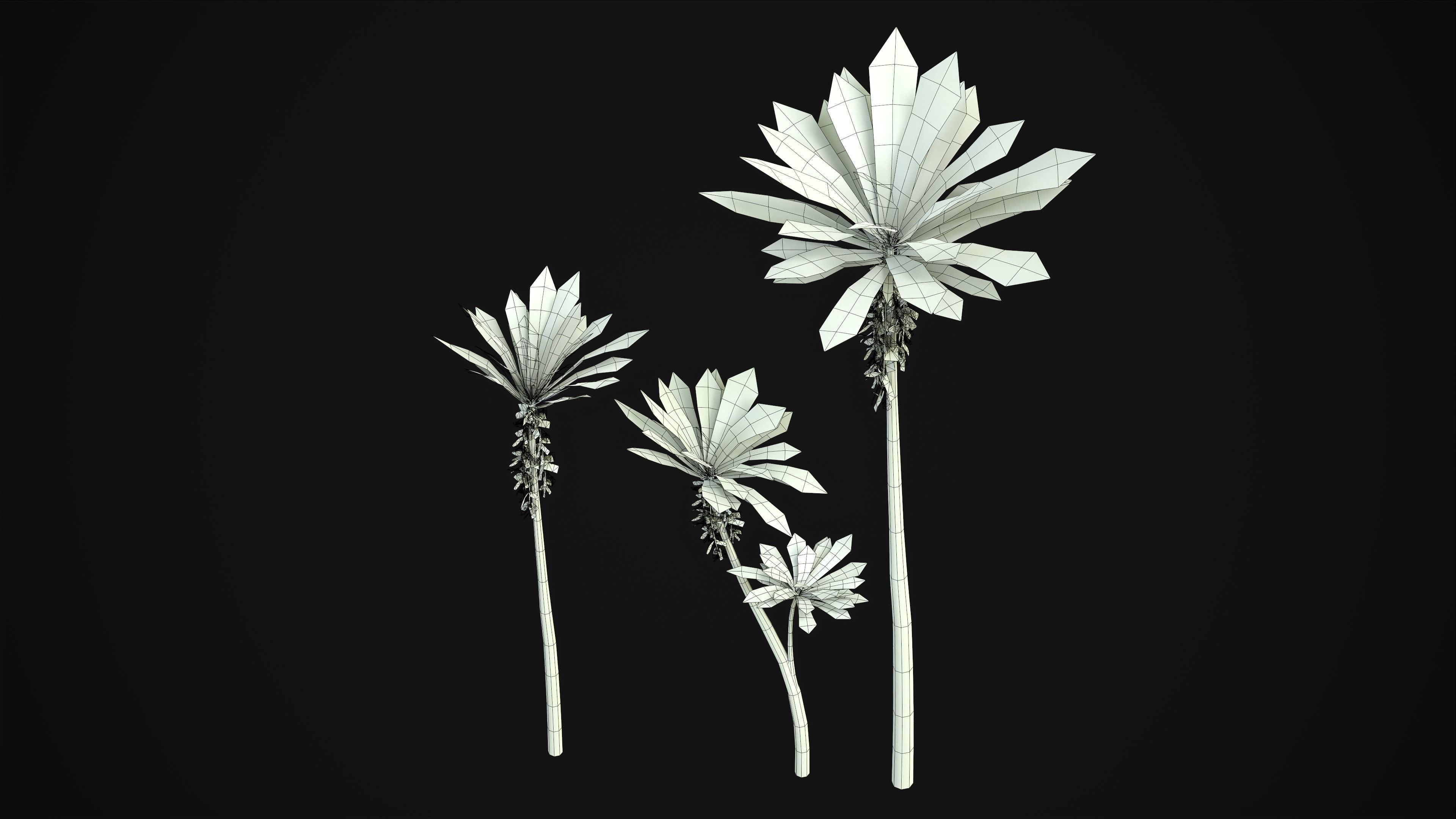 Acropogon Merytifolius - Grass Low-poly 3D model_23