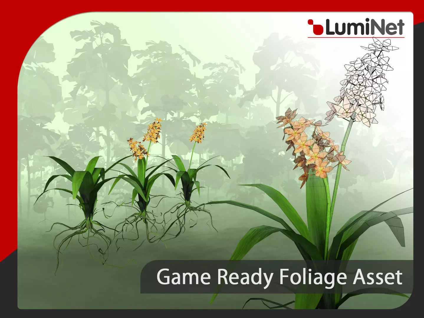 Acalypha Hispida - Grass Low-poly 3D model_0