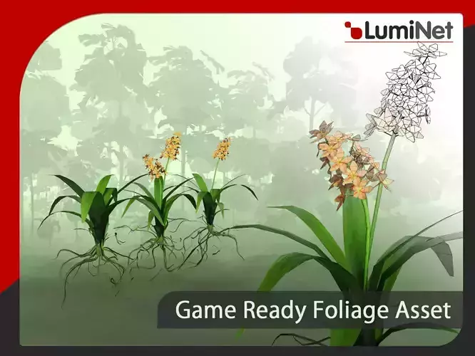 Acalypha Hispida - Grass Low-poly 3D model