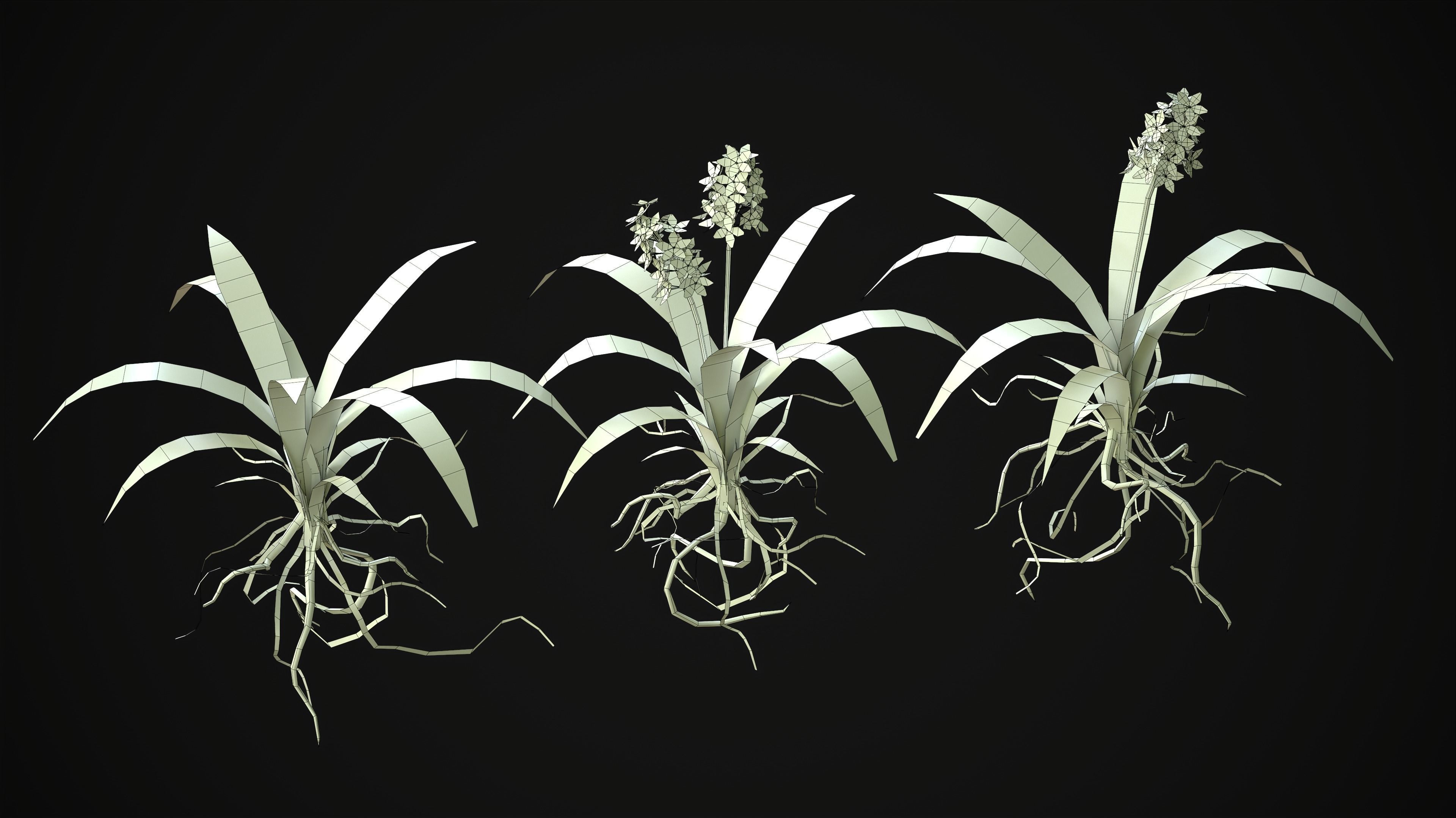 Acalypha Hispida - Grass Low-poly 3D model_24